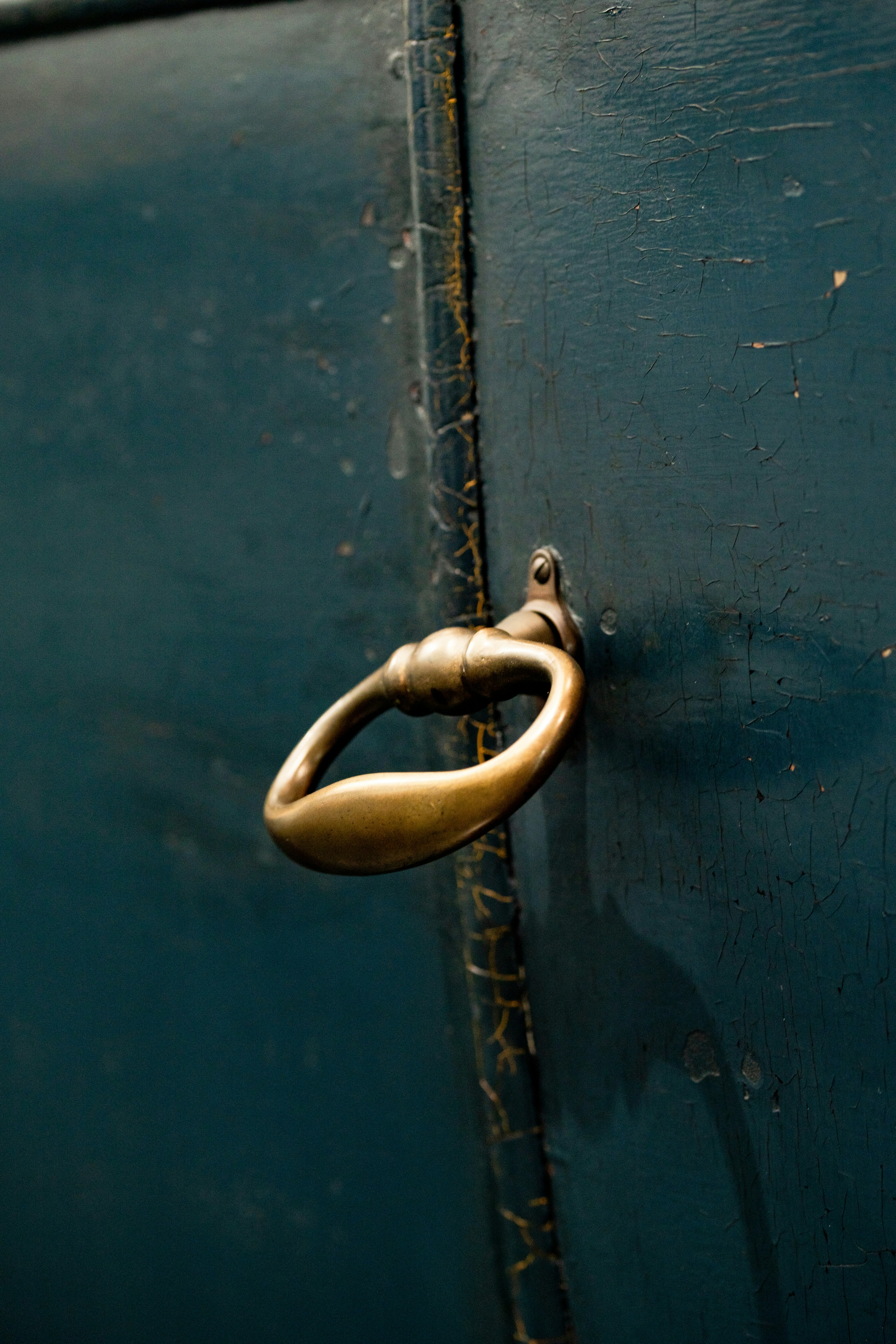 Photo by lauraadaiphoto