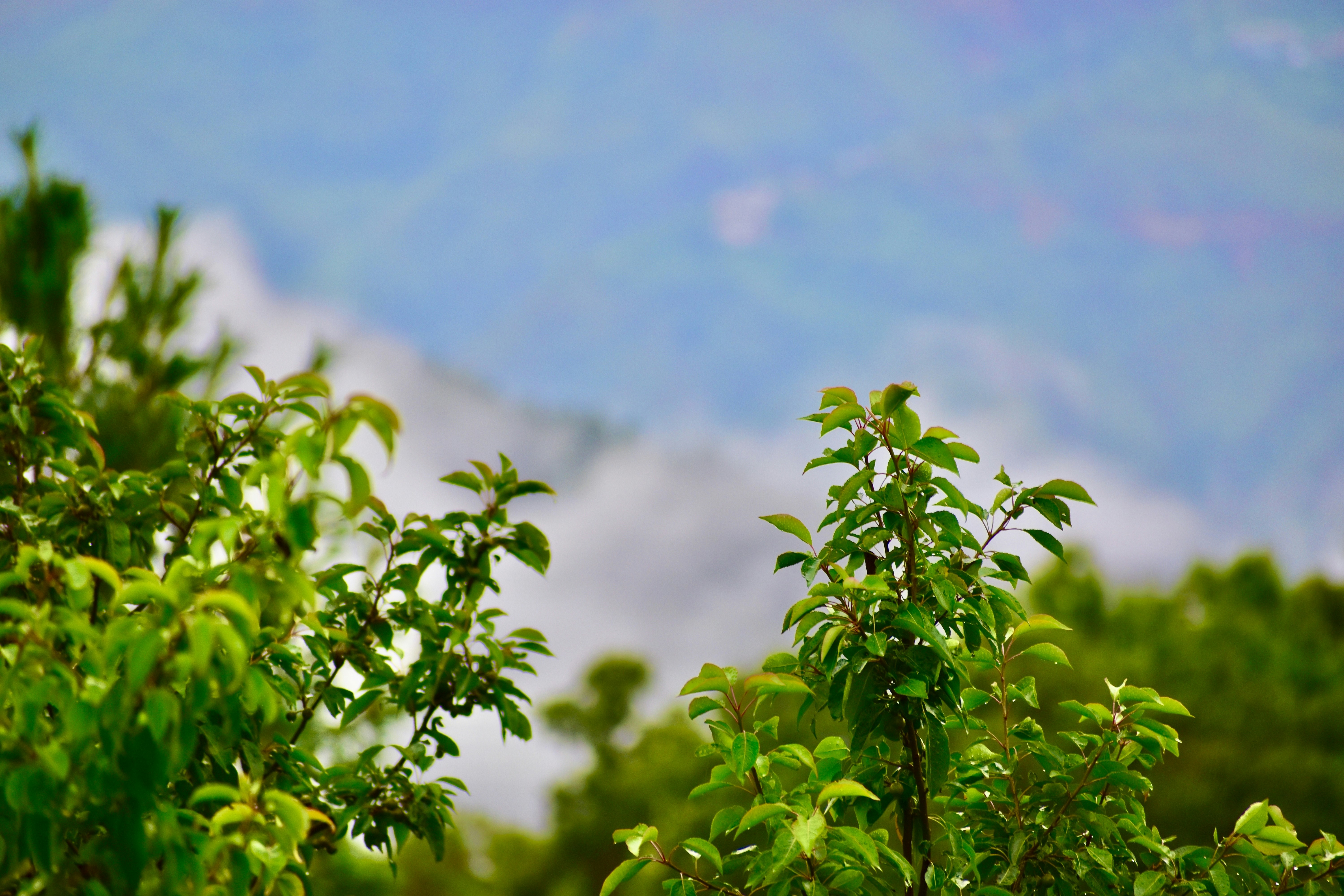 Photo by bossx918spy