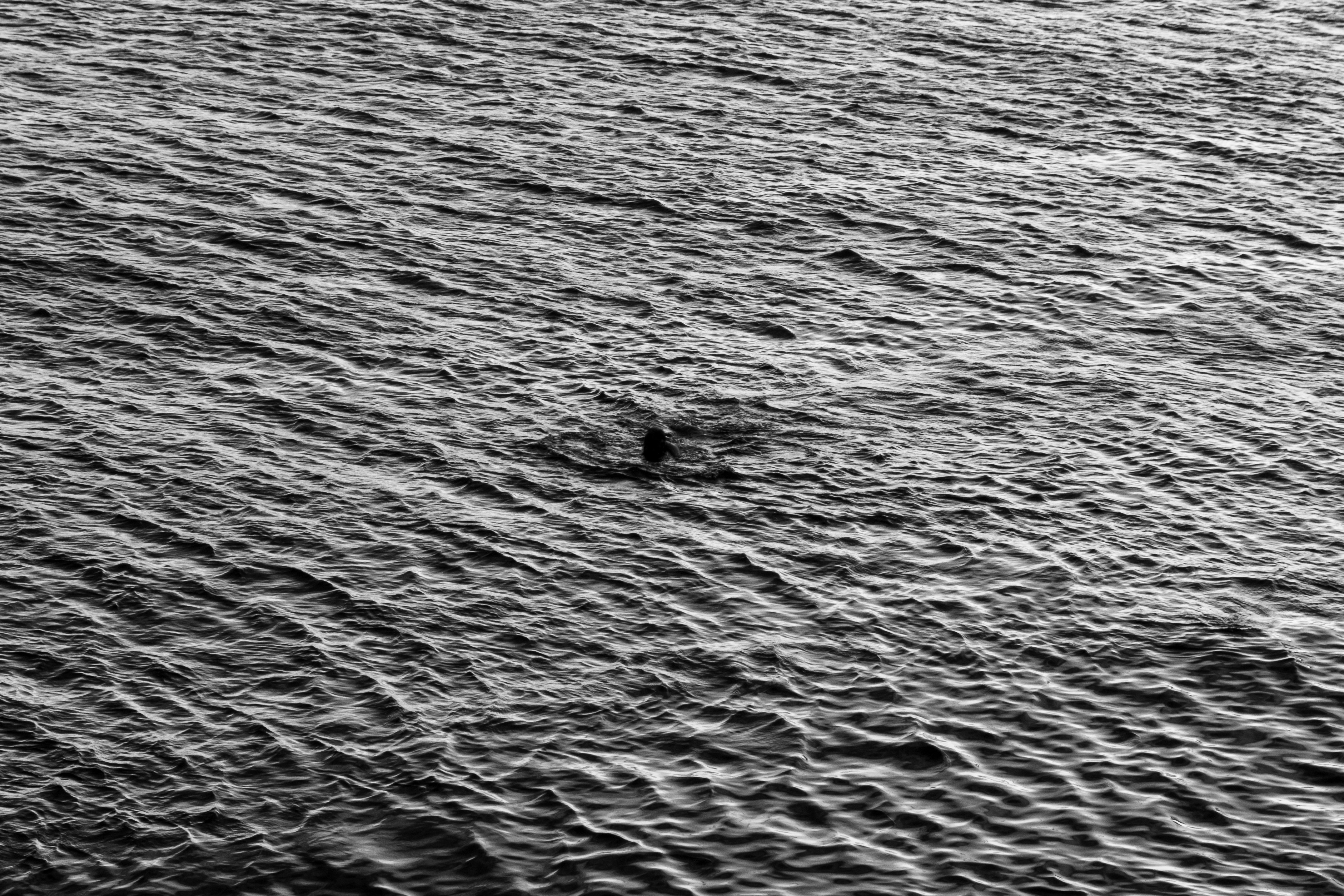 Photo by albertobiondifoto