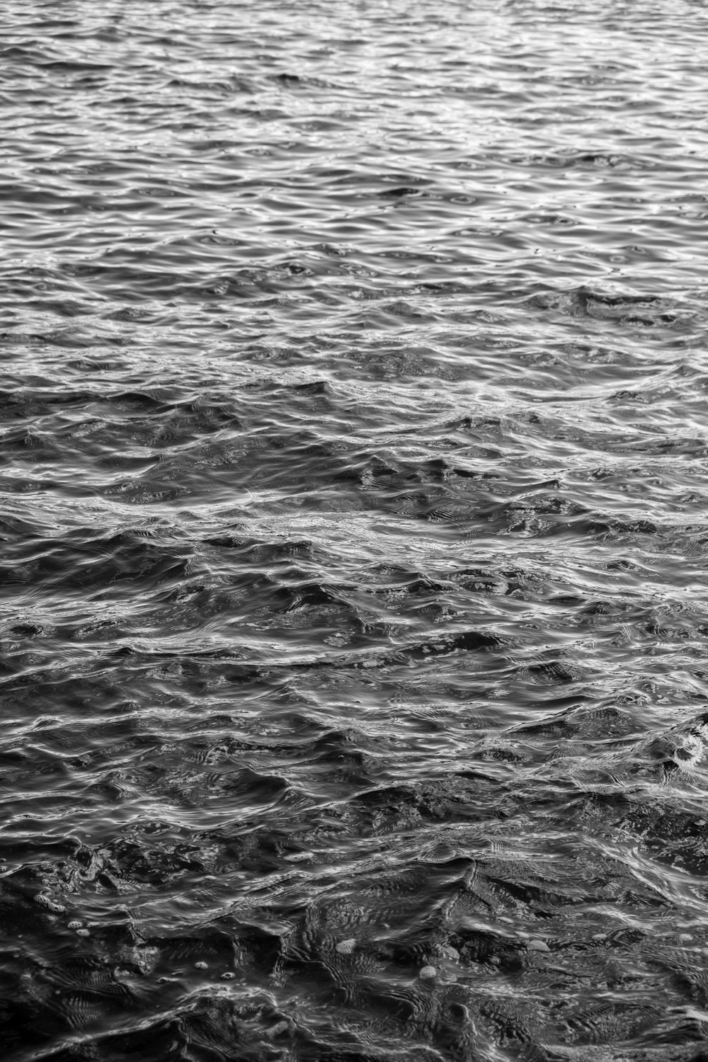 a black and white photo of a body of water