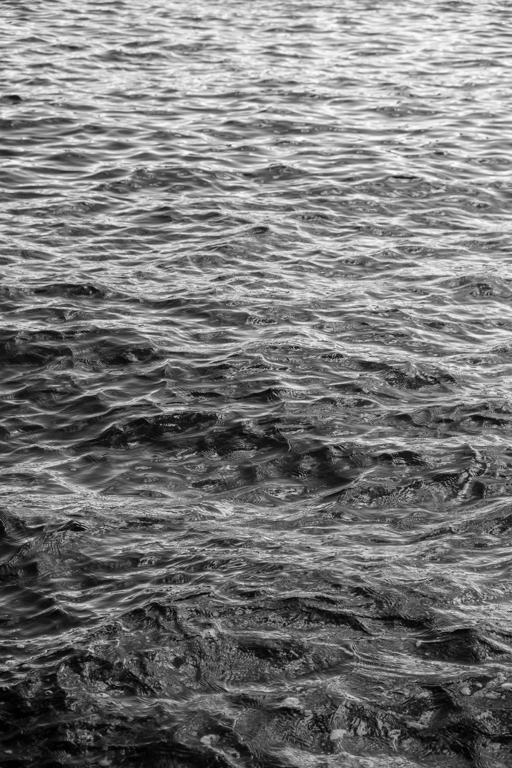 a black and white photo of a body of water