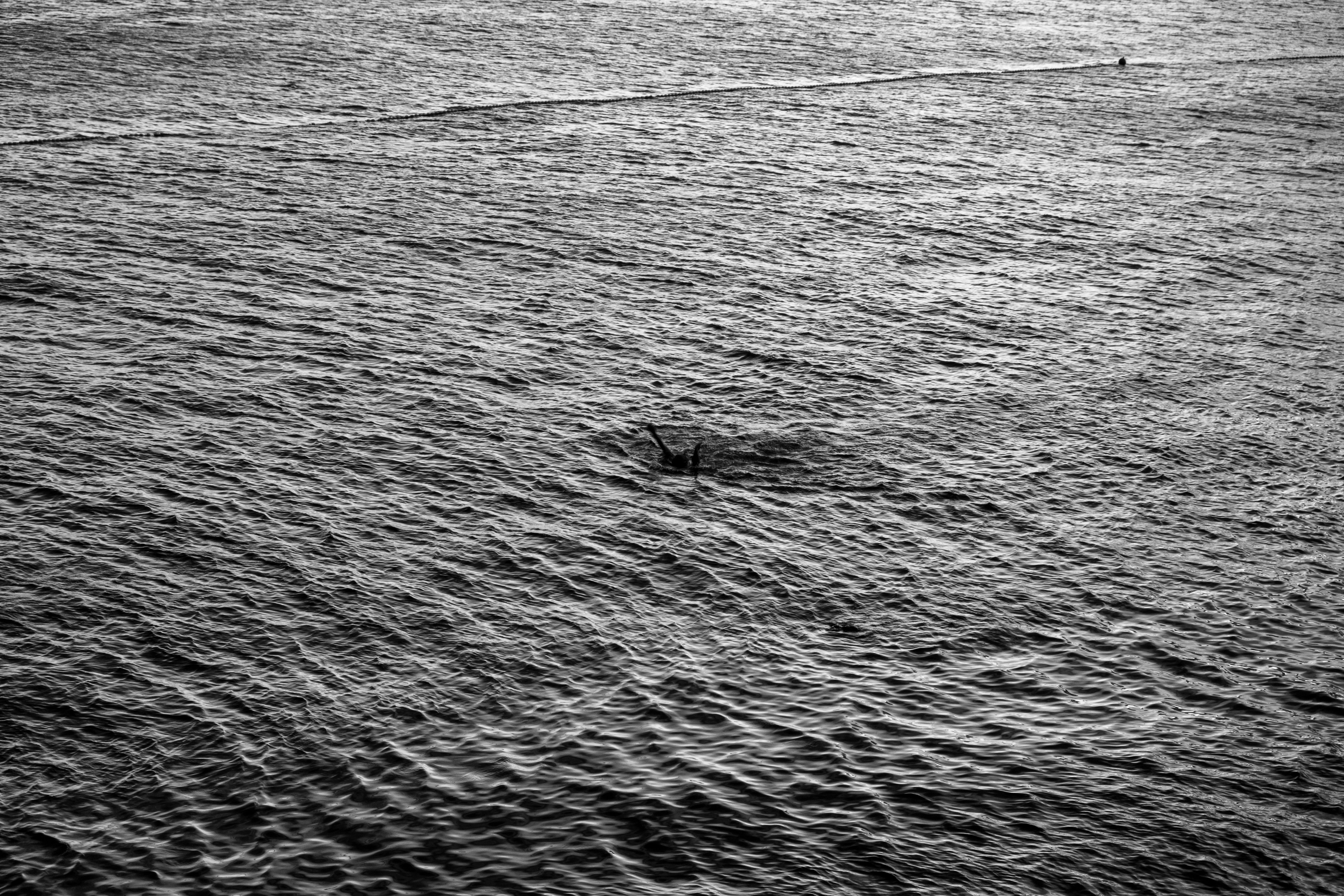 Photo by albertobiondifoto