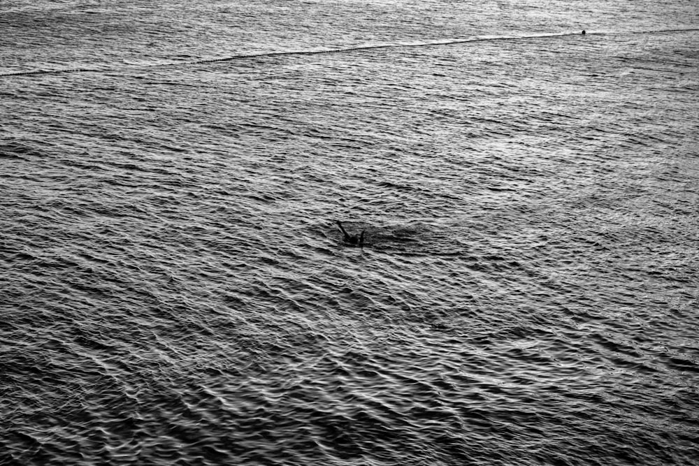 a black and white photo of a body of water