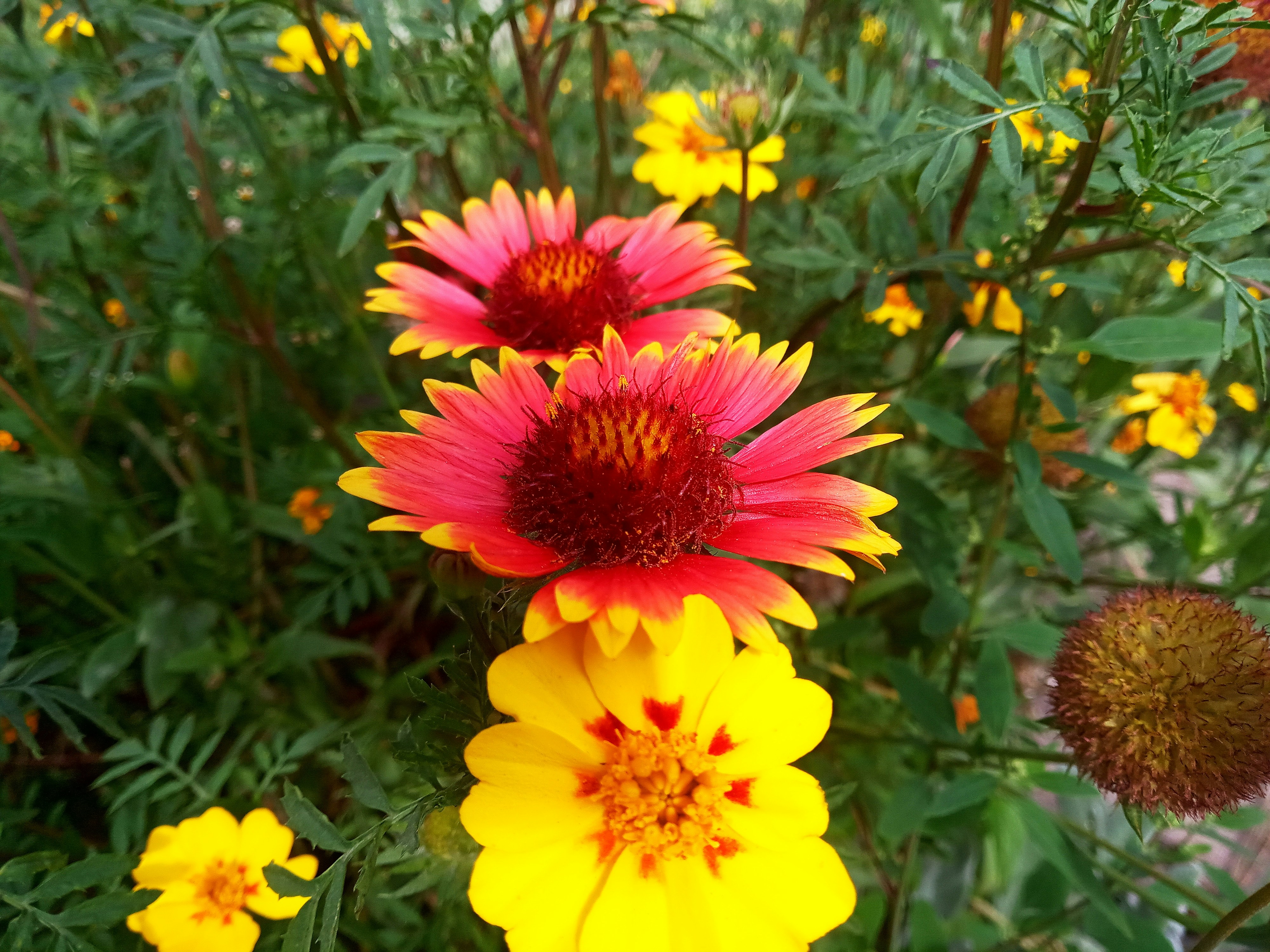 Photo by dmitry_burdakov