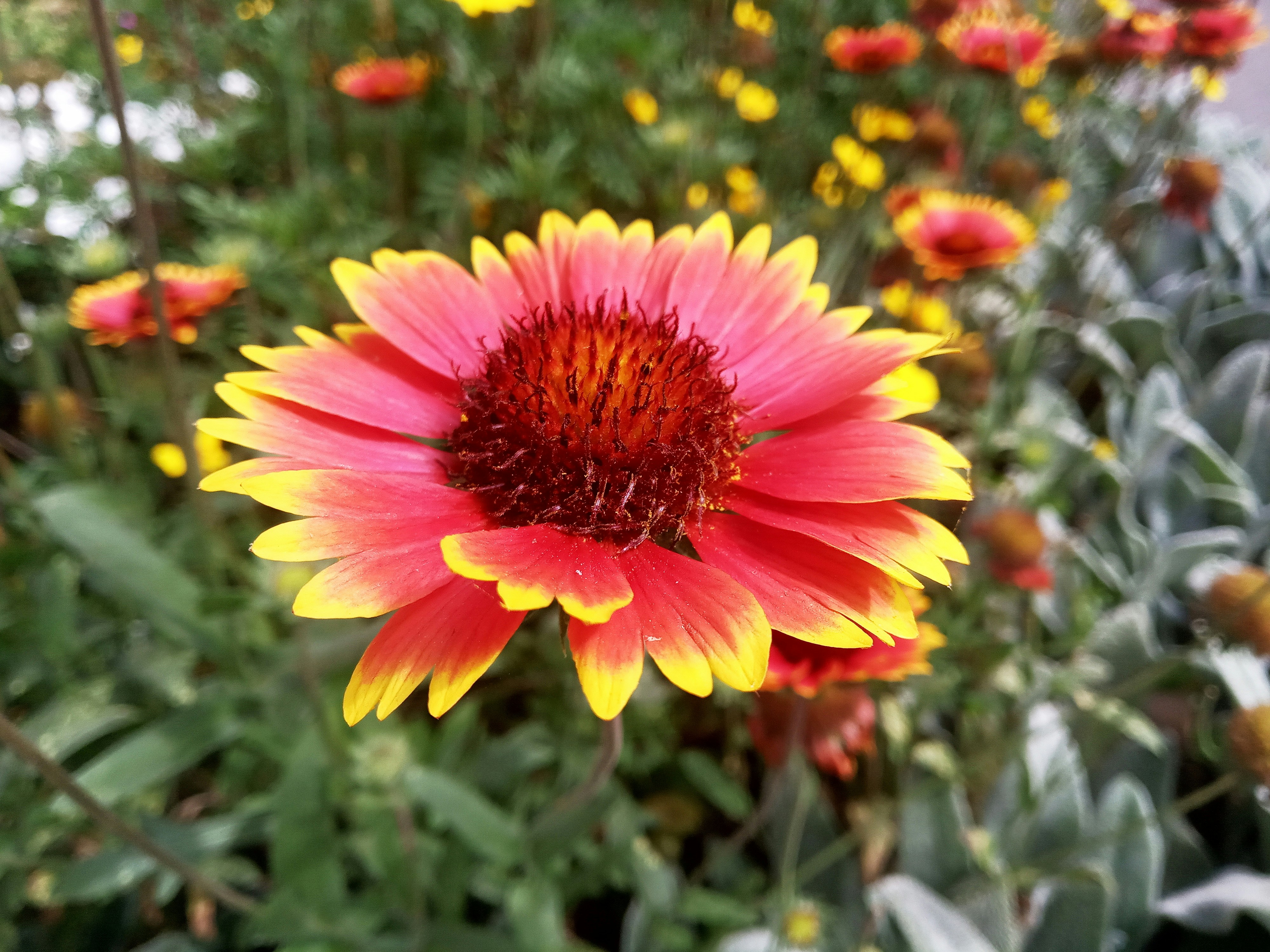 Photo by dmitry_burdakov