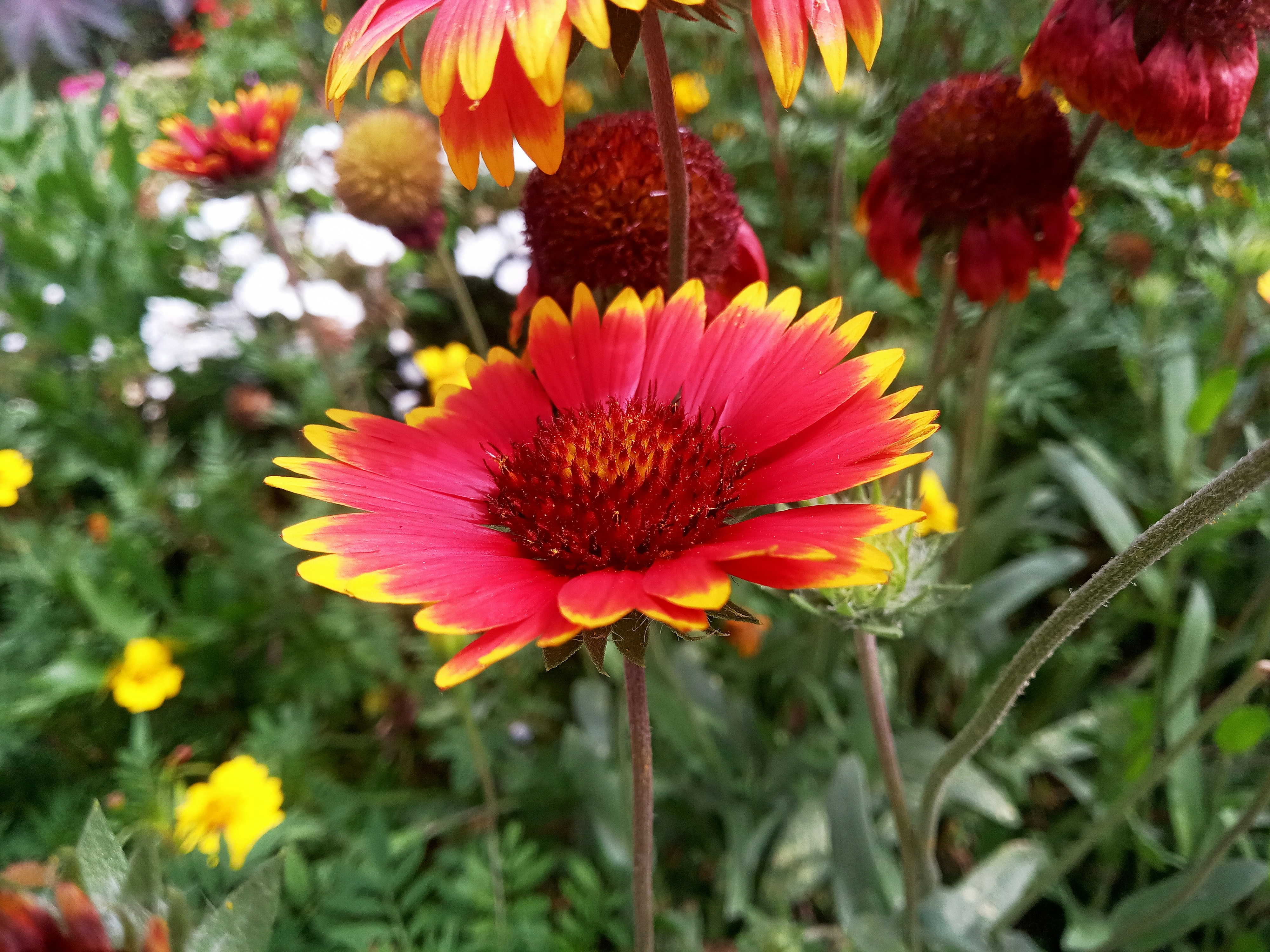 Photo by dmitry_burdakov