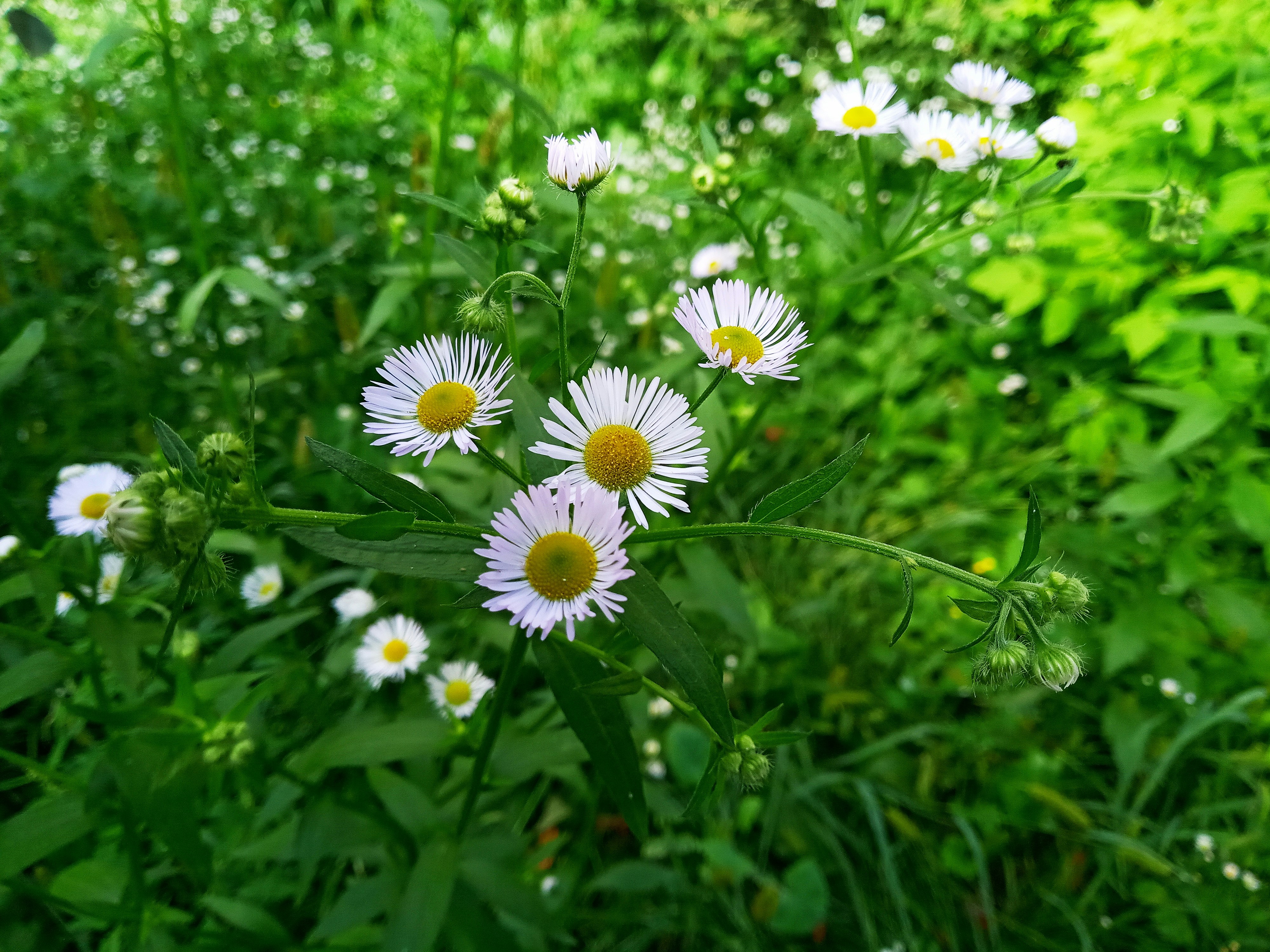 Photo by dmitry_burdakov