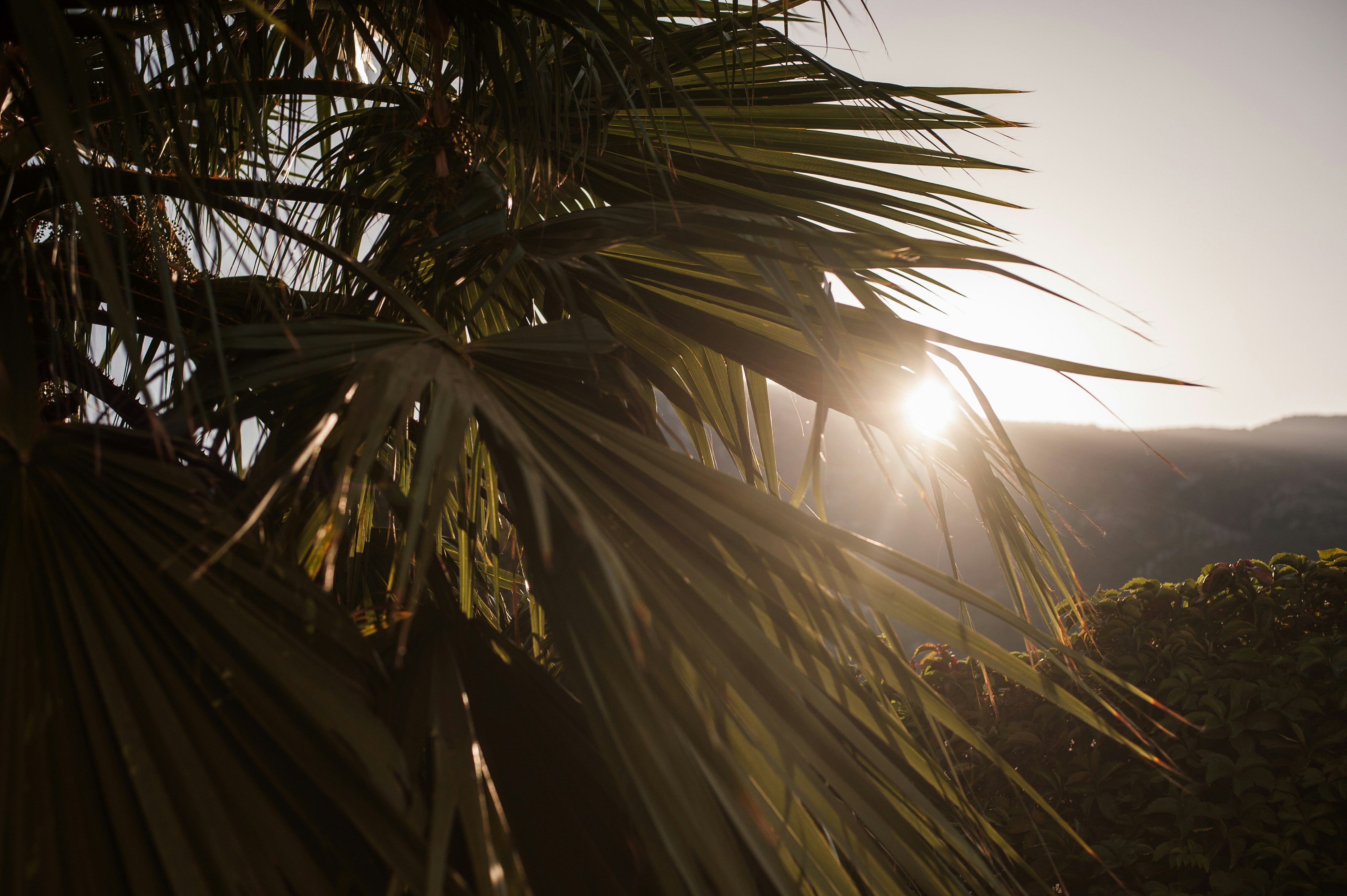 Photo by shotsbysophie