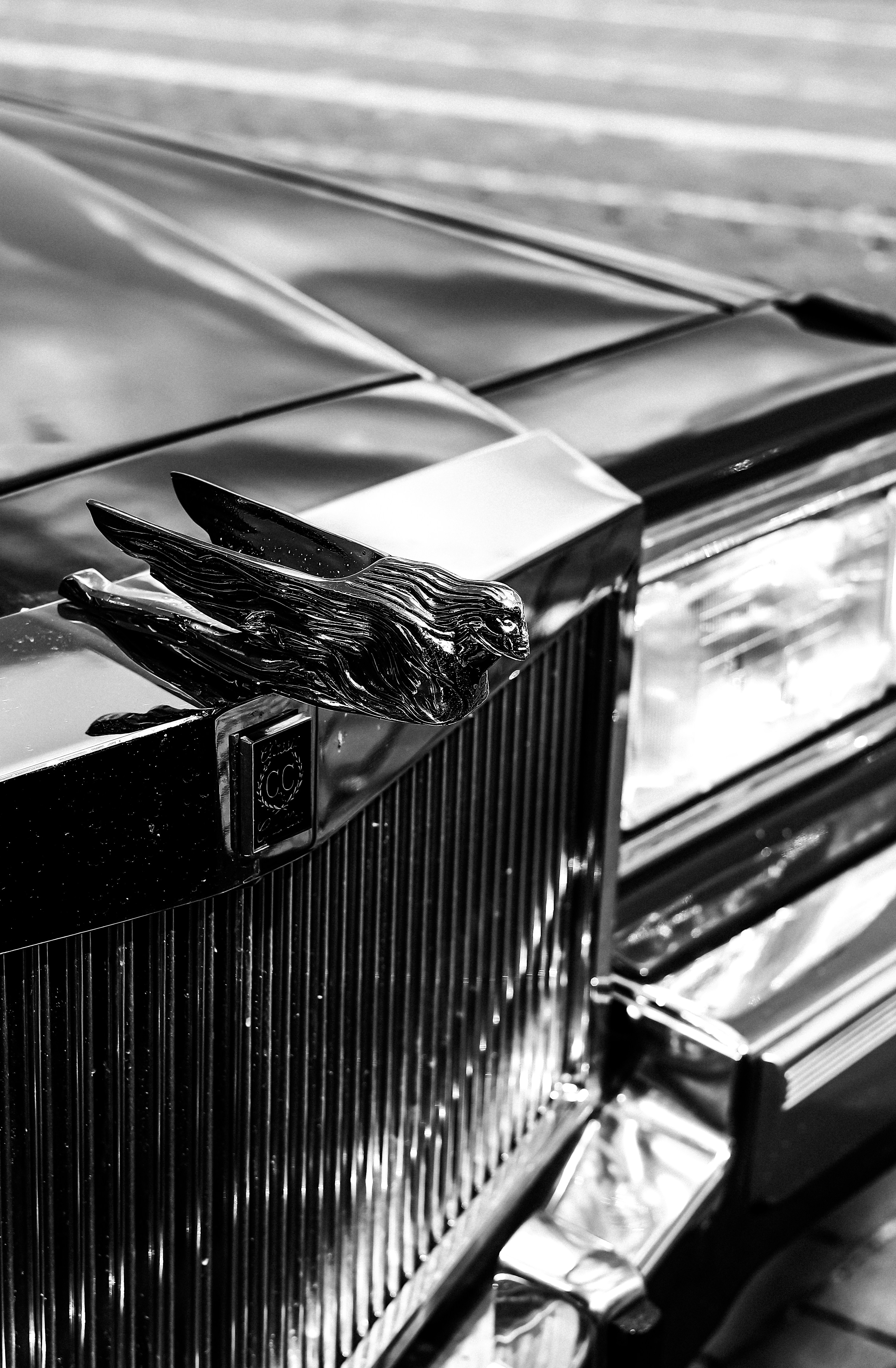 Choose from a curated selection of car photos. Always free on Unsplash.