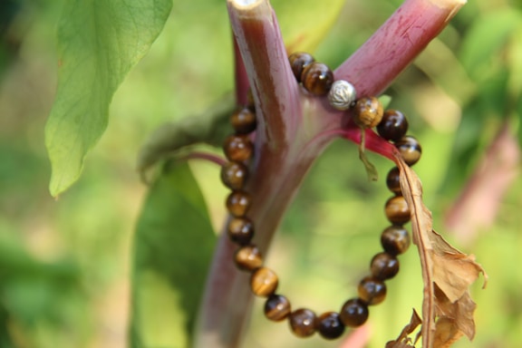 A close-up of a hand-woven bracelet resting on a wooden table beside a small potted plant.
