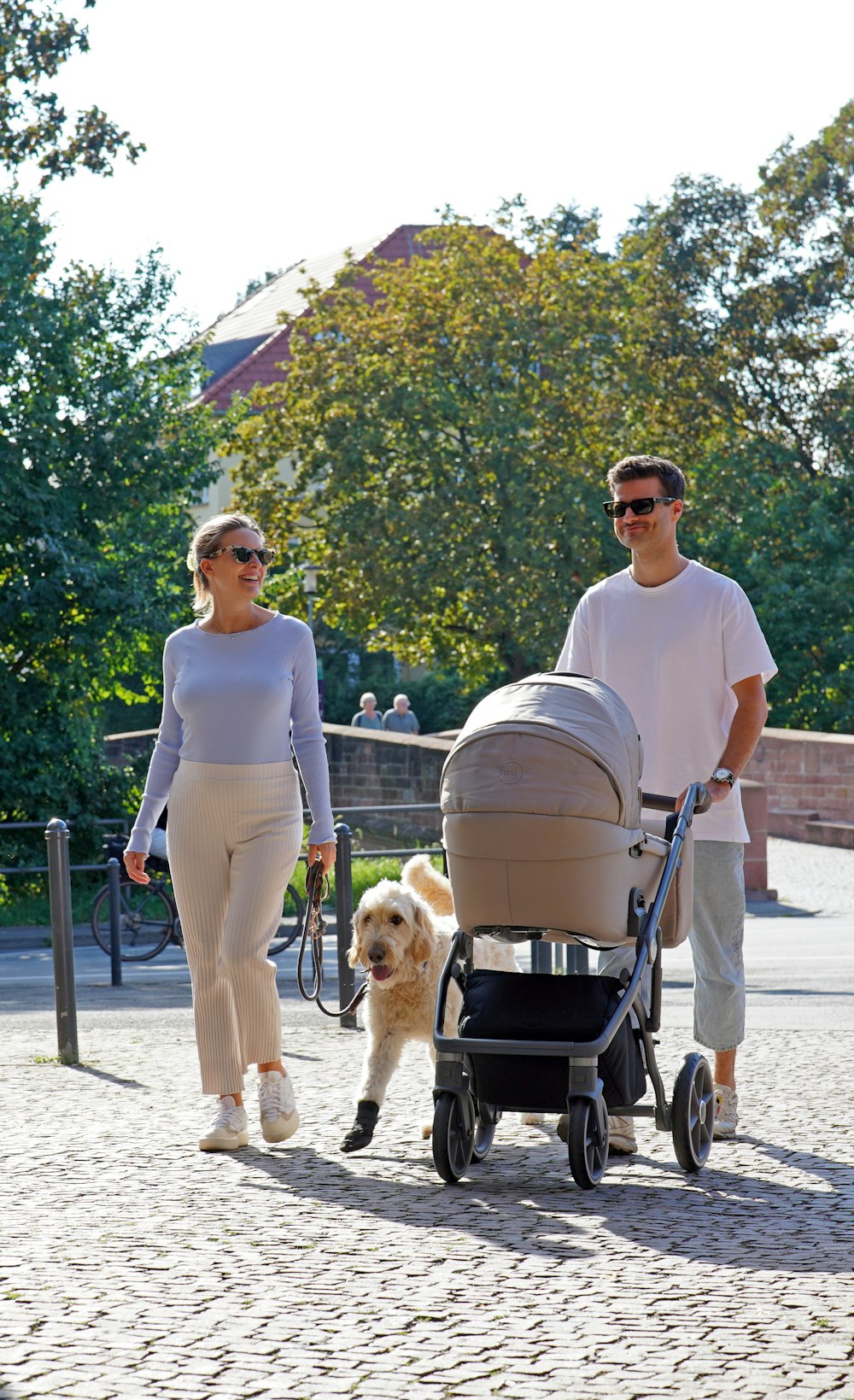 a man and woman walking with a dog in a stroller