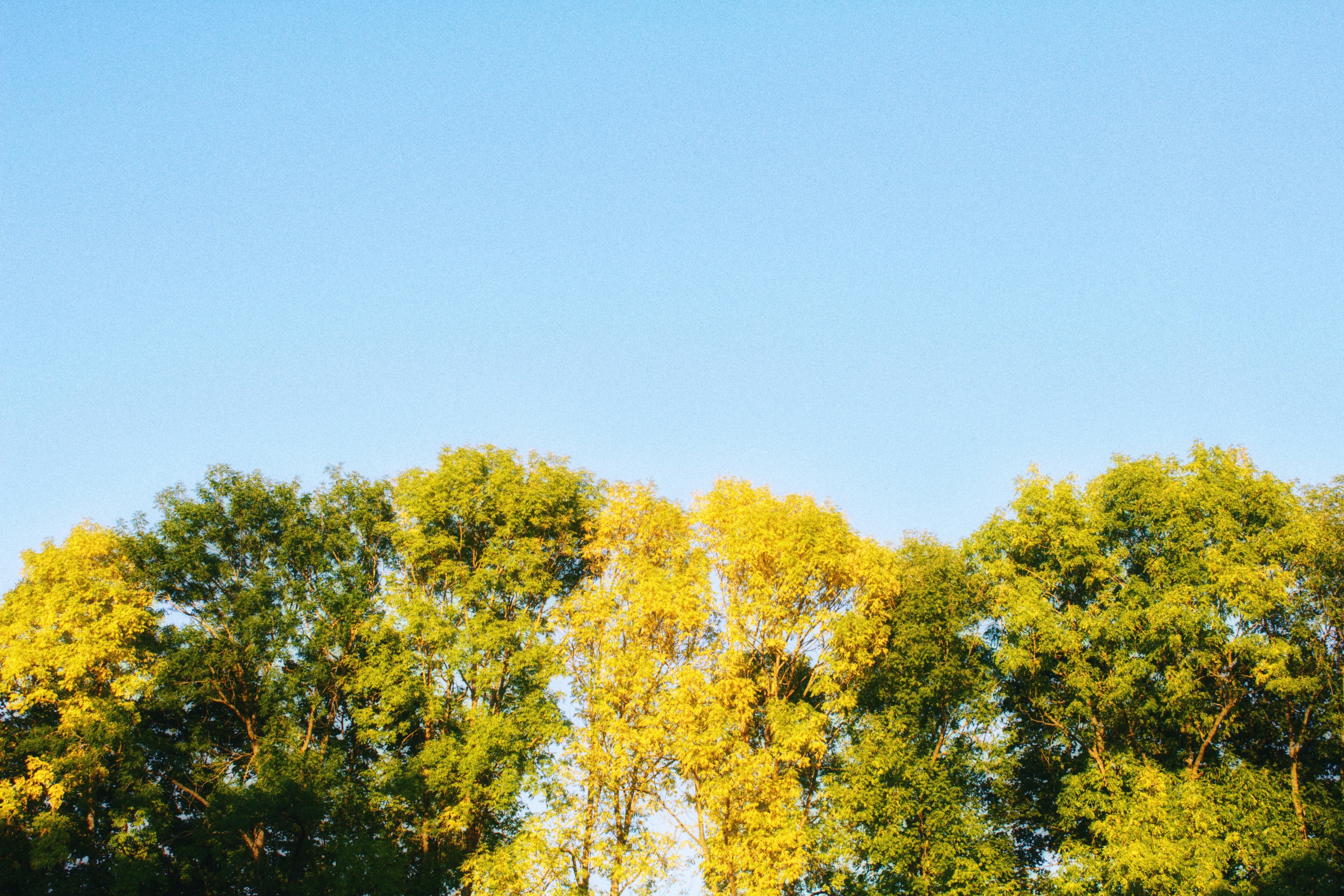 Photo by maximyuryshev