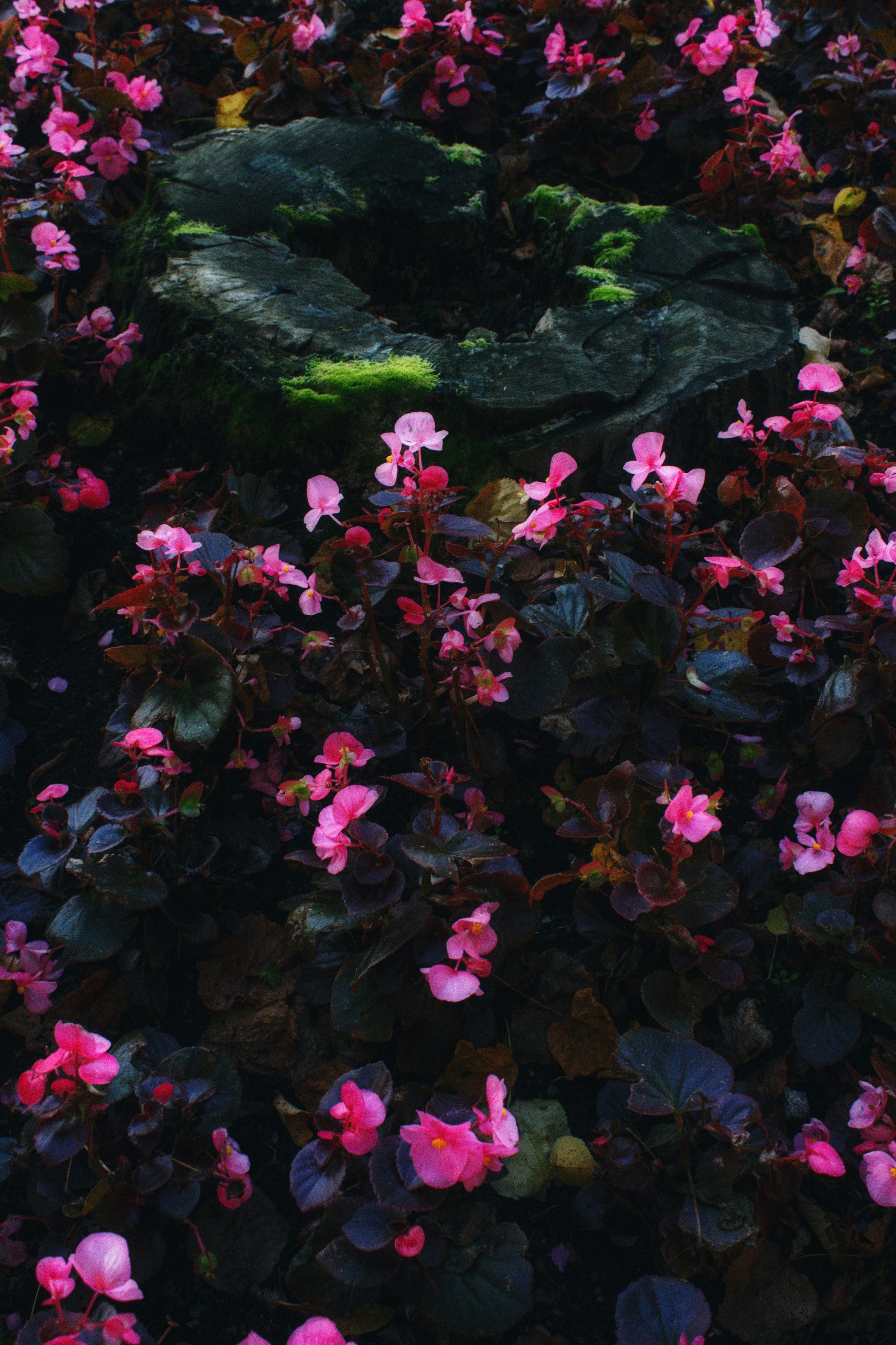 Photo by maximyuryshev