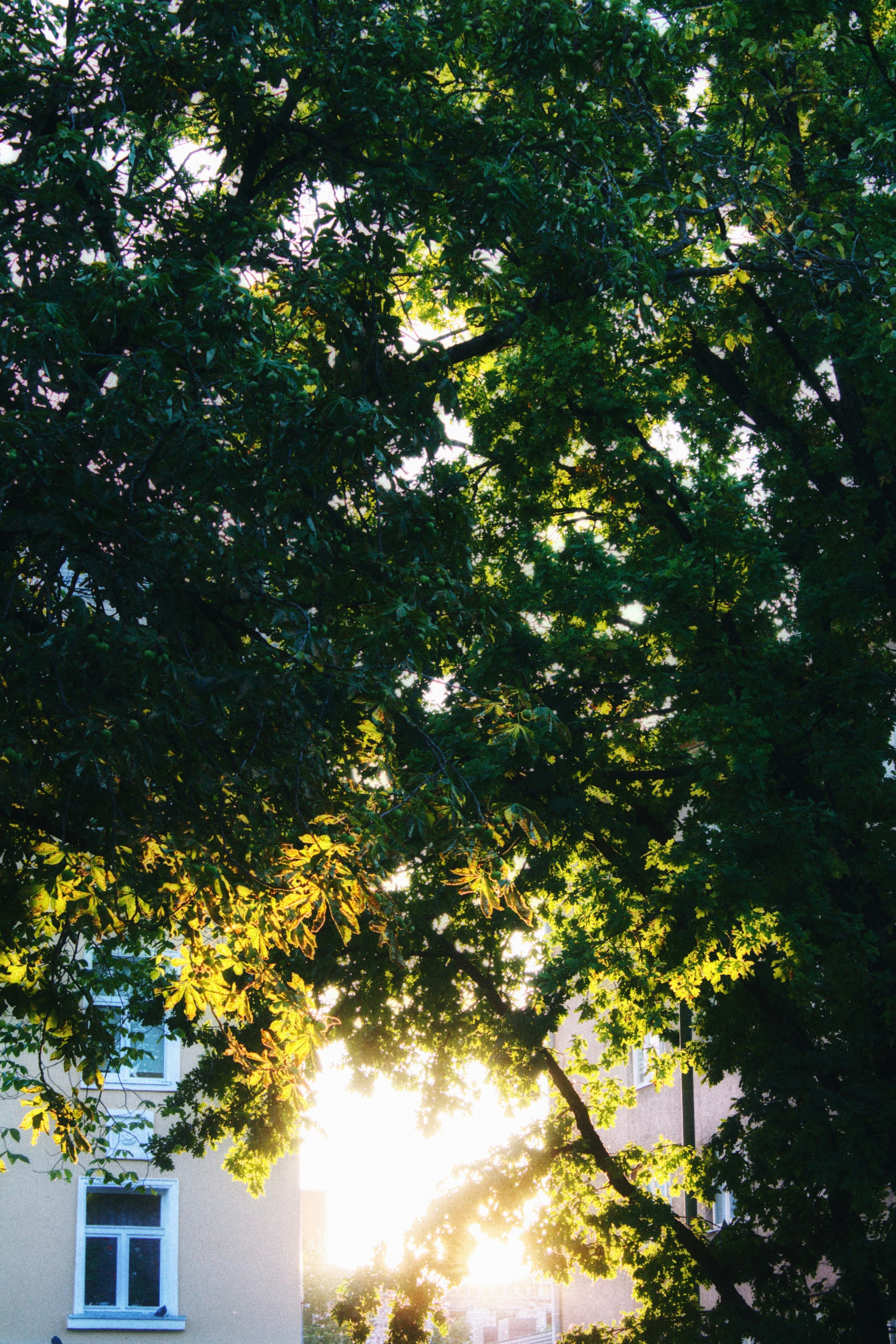 Photo by maximyuryshev