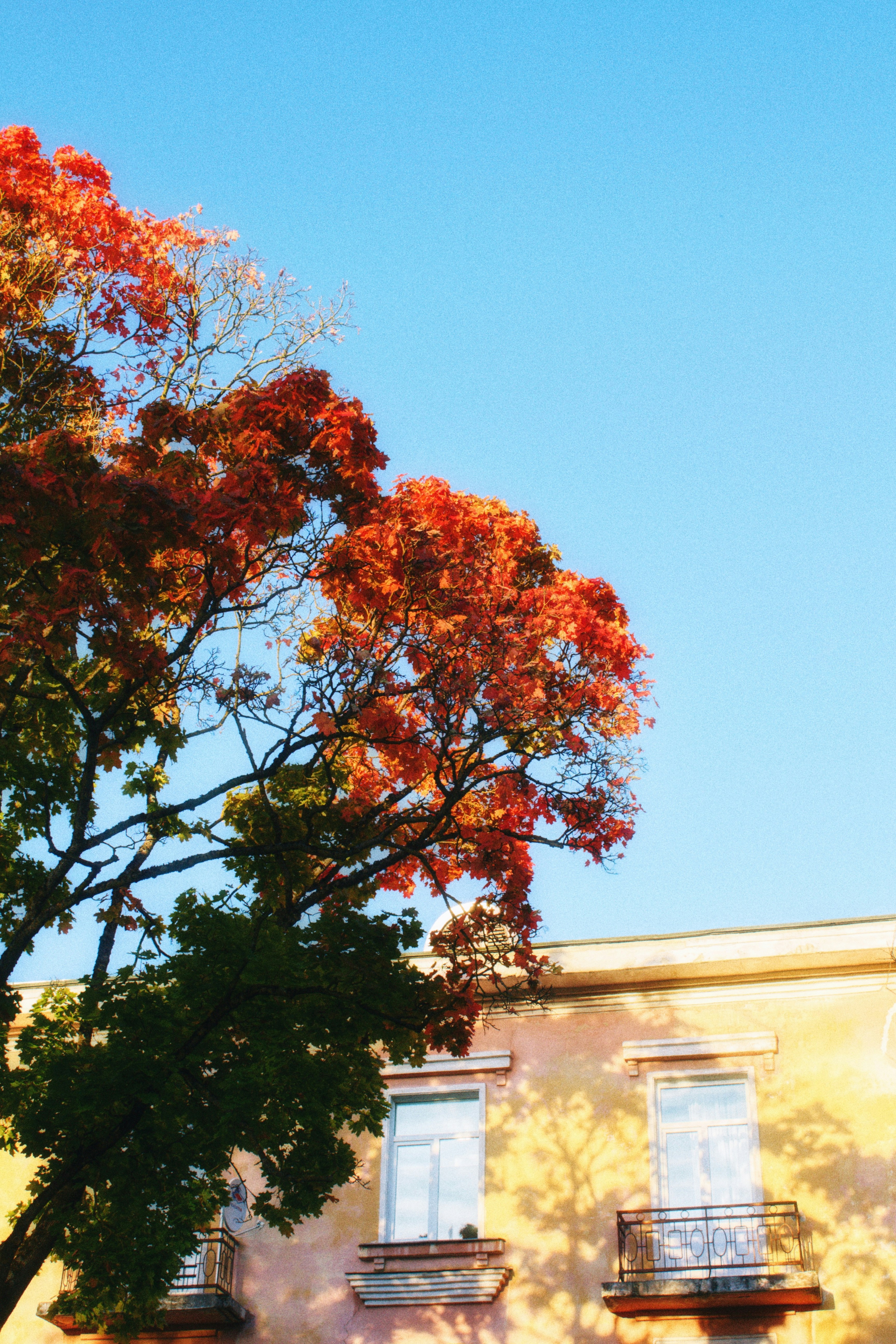 Photo by maximyuryshev