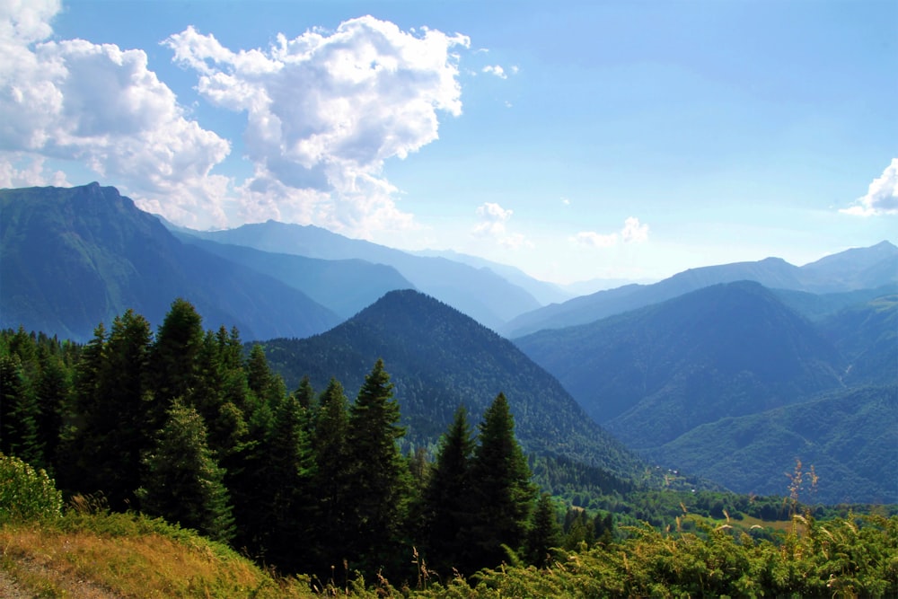 a scenic view of mountains and trees in the distance