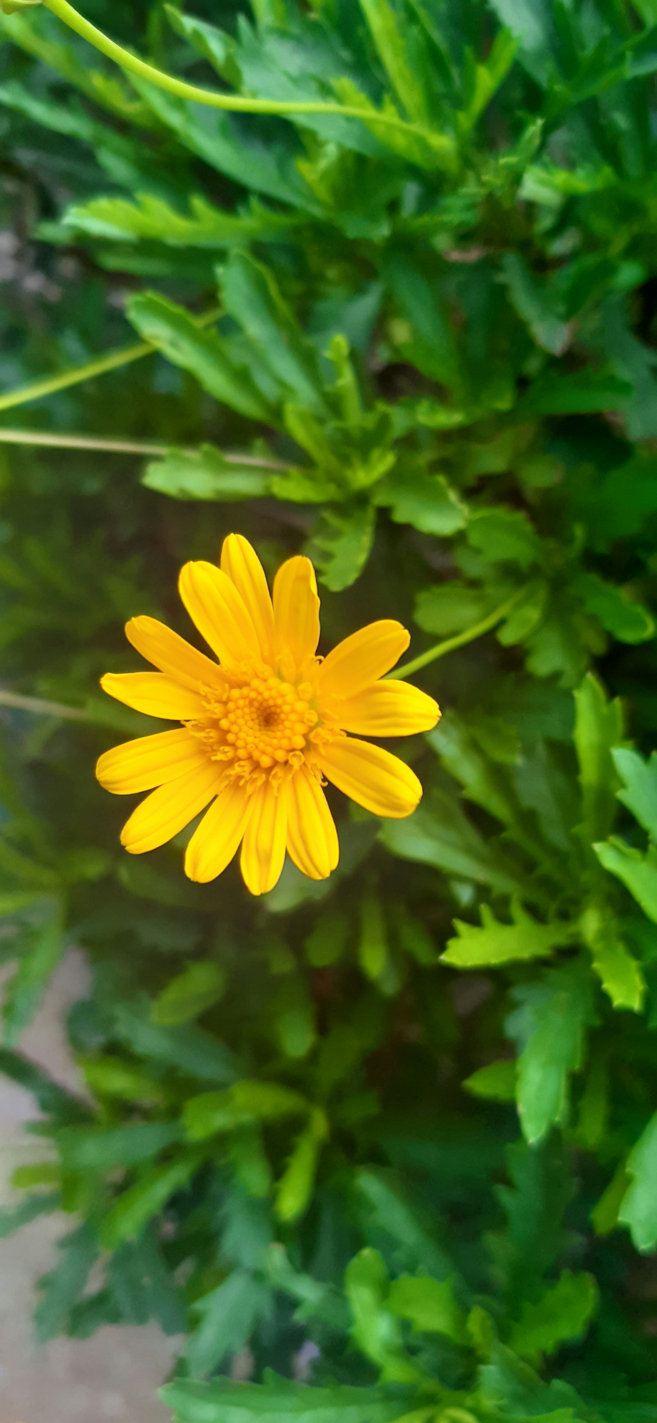 Photo by mtho_nature