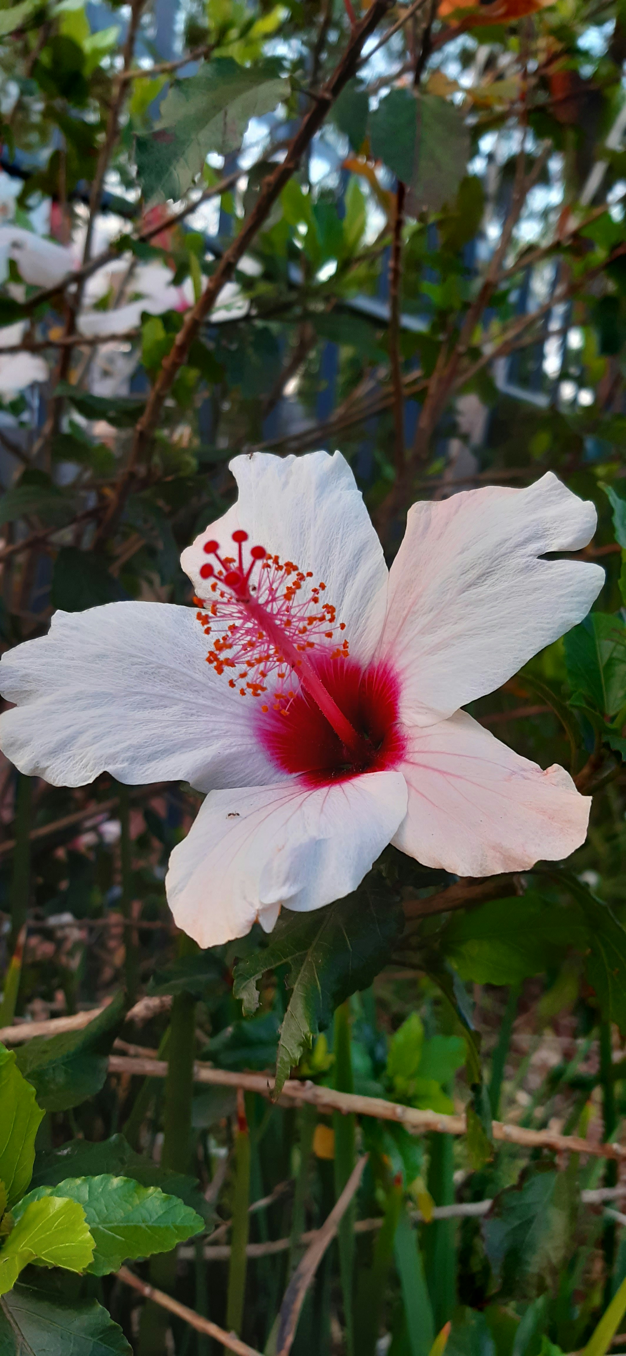 Photo by mtho_nature