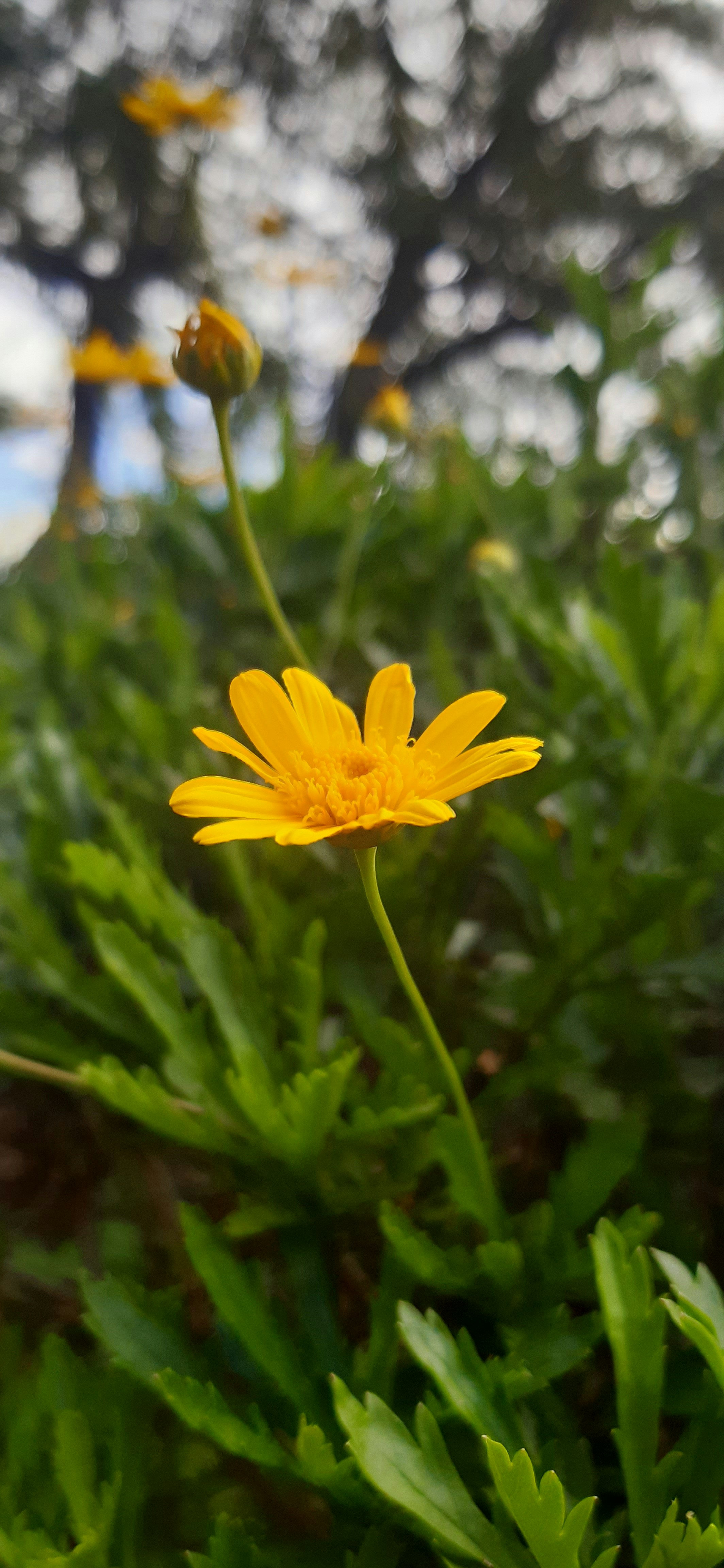 Photo by mtho_nature