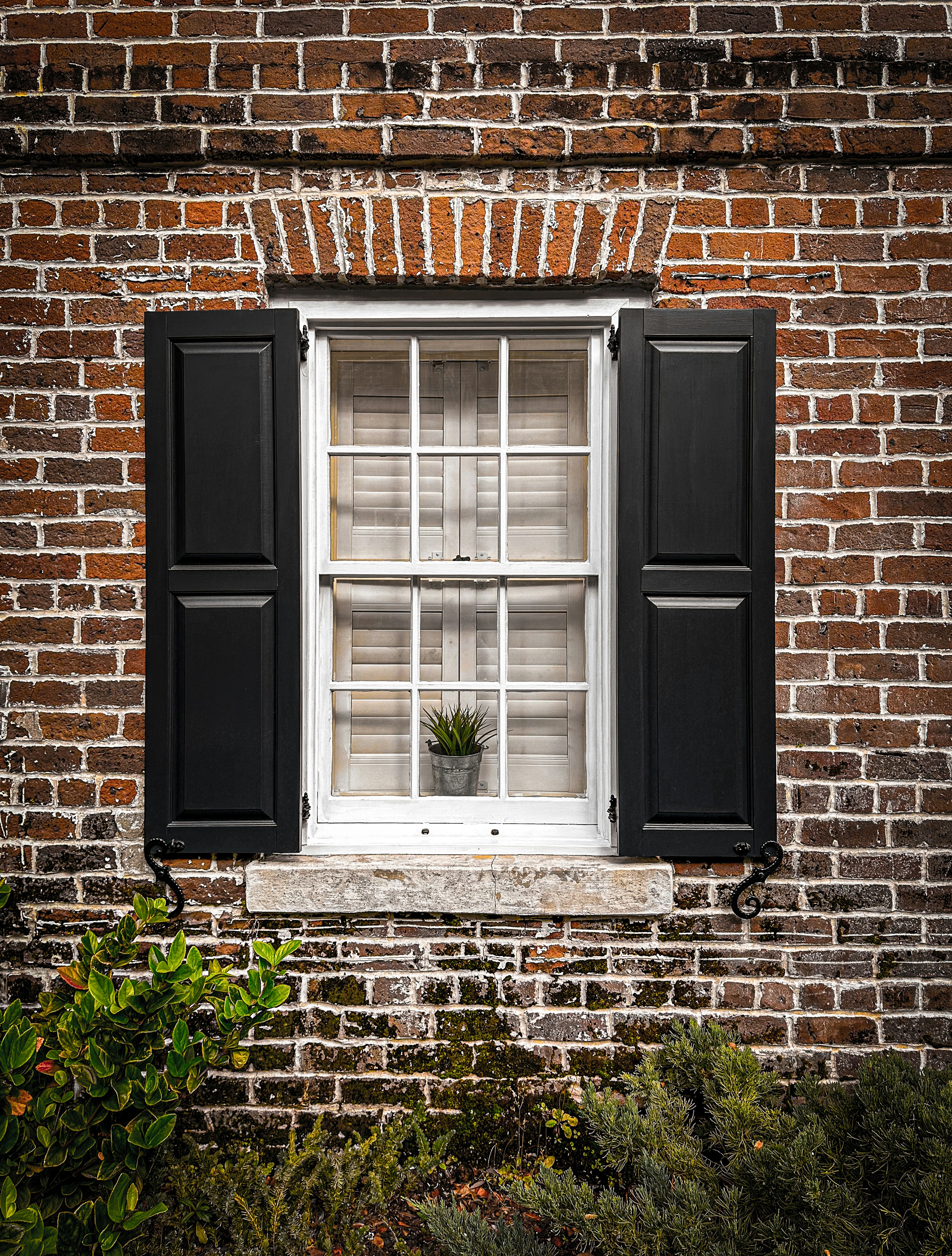 Photo by angelicateranp