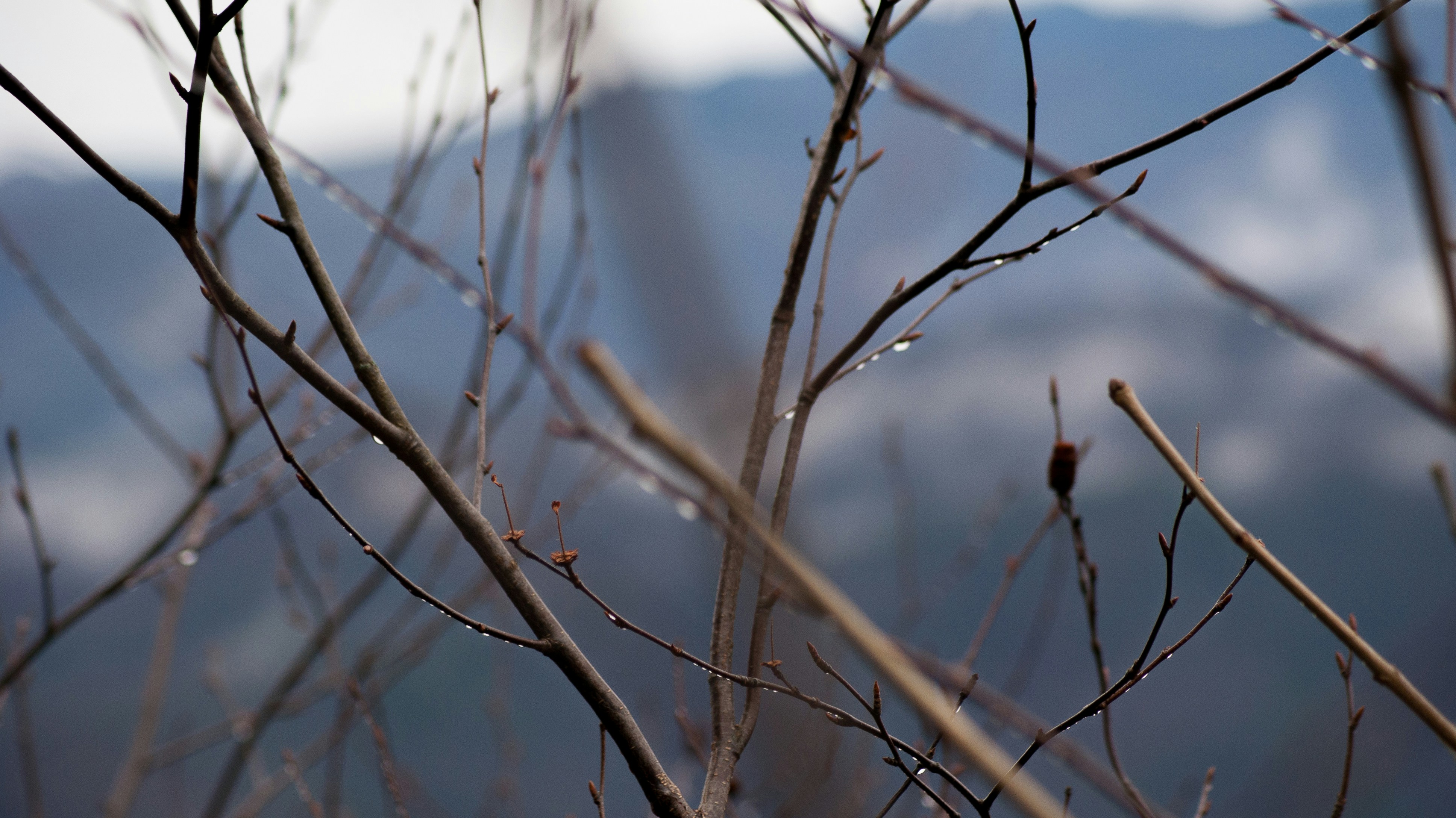 Photo by angelicateranp