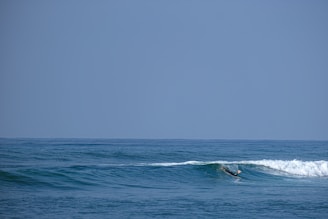 A surfer catching a gentle wave under a clear blue sky at a Moroccan beach.