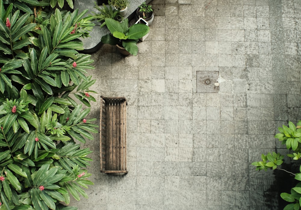 an overhead view of a bench surrounded by plants