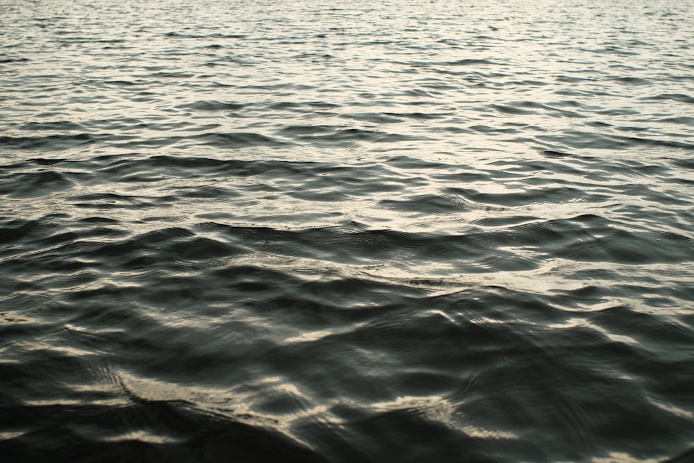 a large body of water with a sky in the background