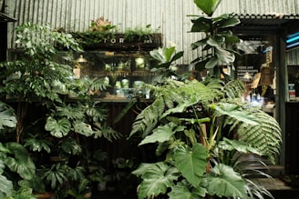 A lush arrangement of various green plants set against a corrugated metal wall. Several broad-leafed plants, including ferns and philodendrons, are prominently displayed in the foreground, creating a dense, garden-like atmosphere. Through the glass window behind the plants, the interior of a shop featuring terrarium collections is partially visible. Signage indicating art workshops and activities is seen in the background.