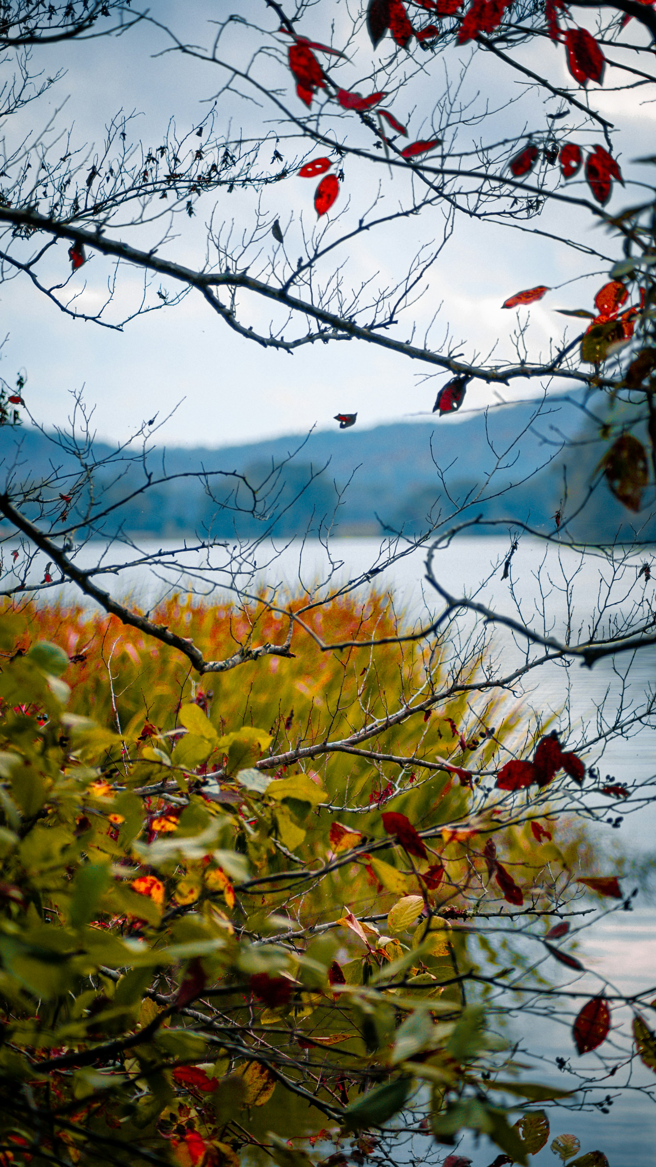 Photo by angelicateranp