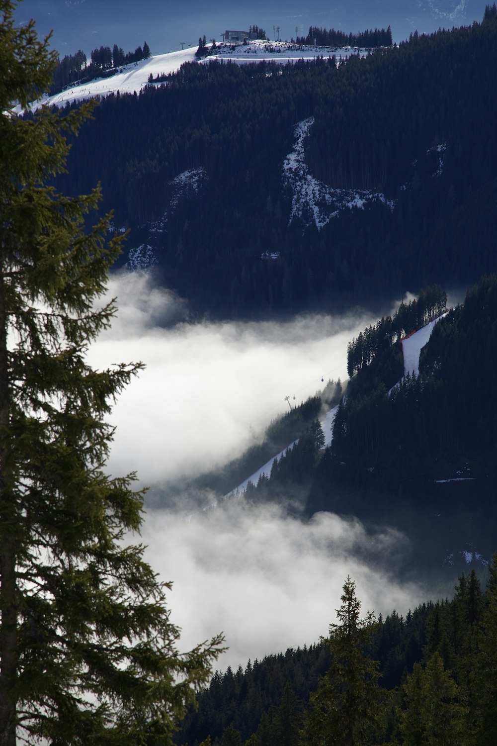 a view of a mountain covered in fog