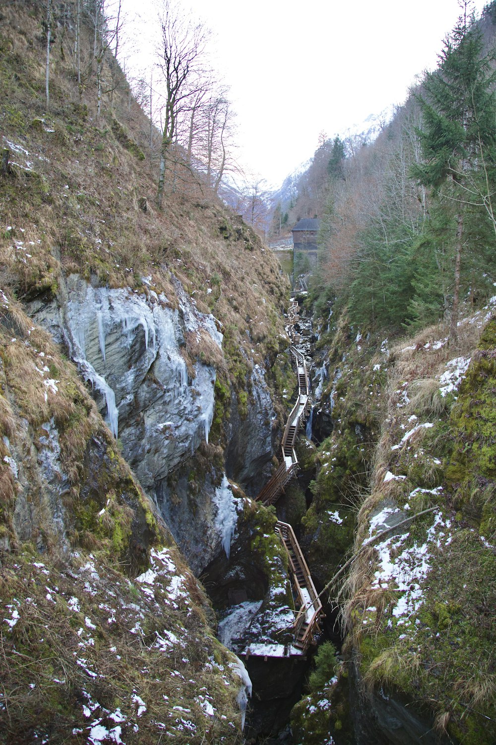 a small stream running through a mountain side