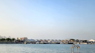 A marina is depicted with various boats docked along the shoreline. In the background, there are modern buildings and structures, with blue sky overhead and a calm body of water in the foreground.