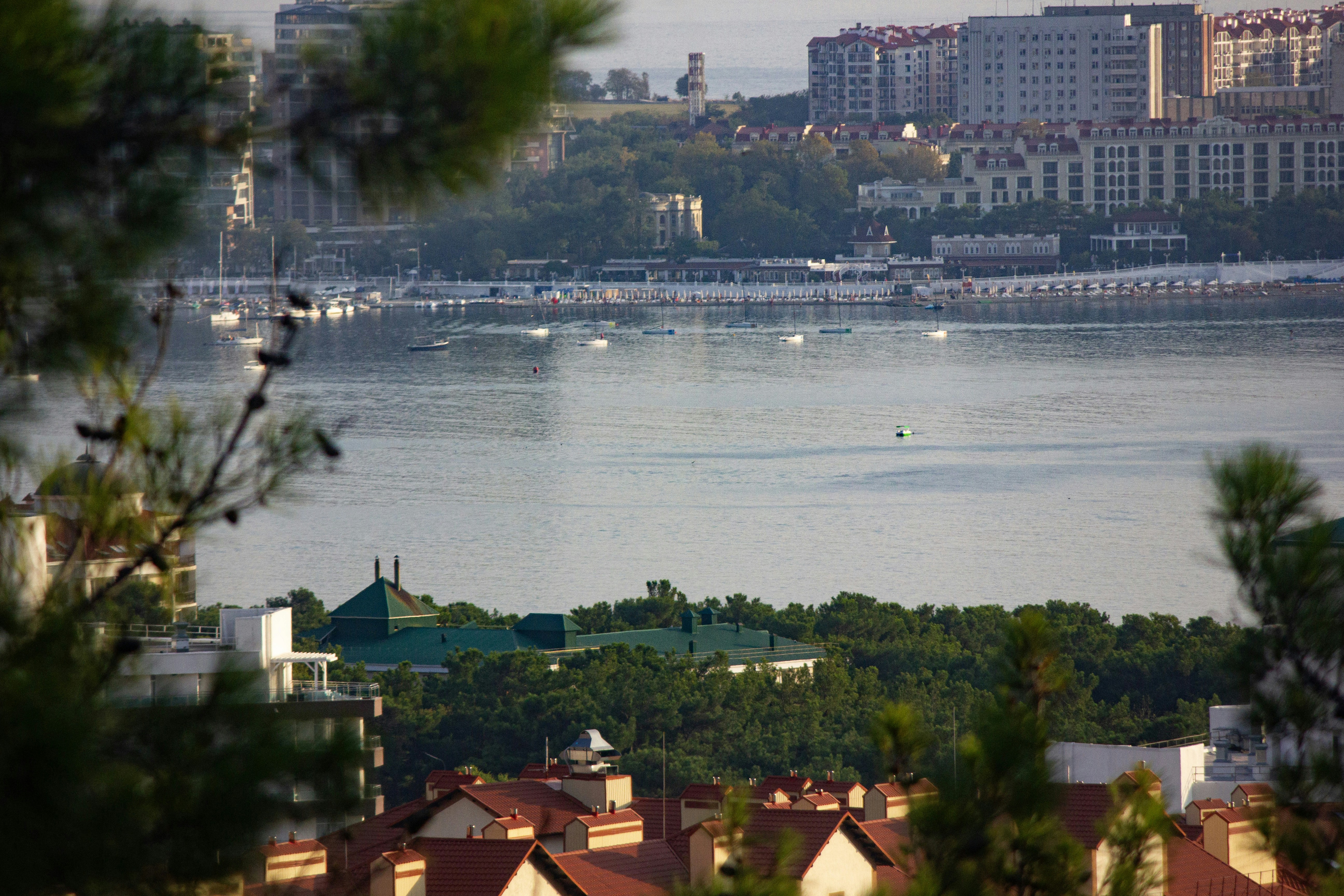 a body of water surrounded by trees and buildings