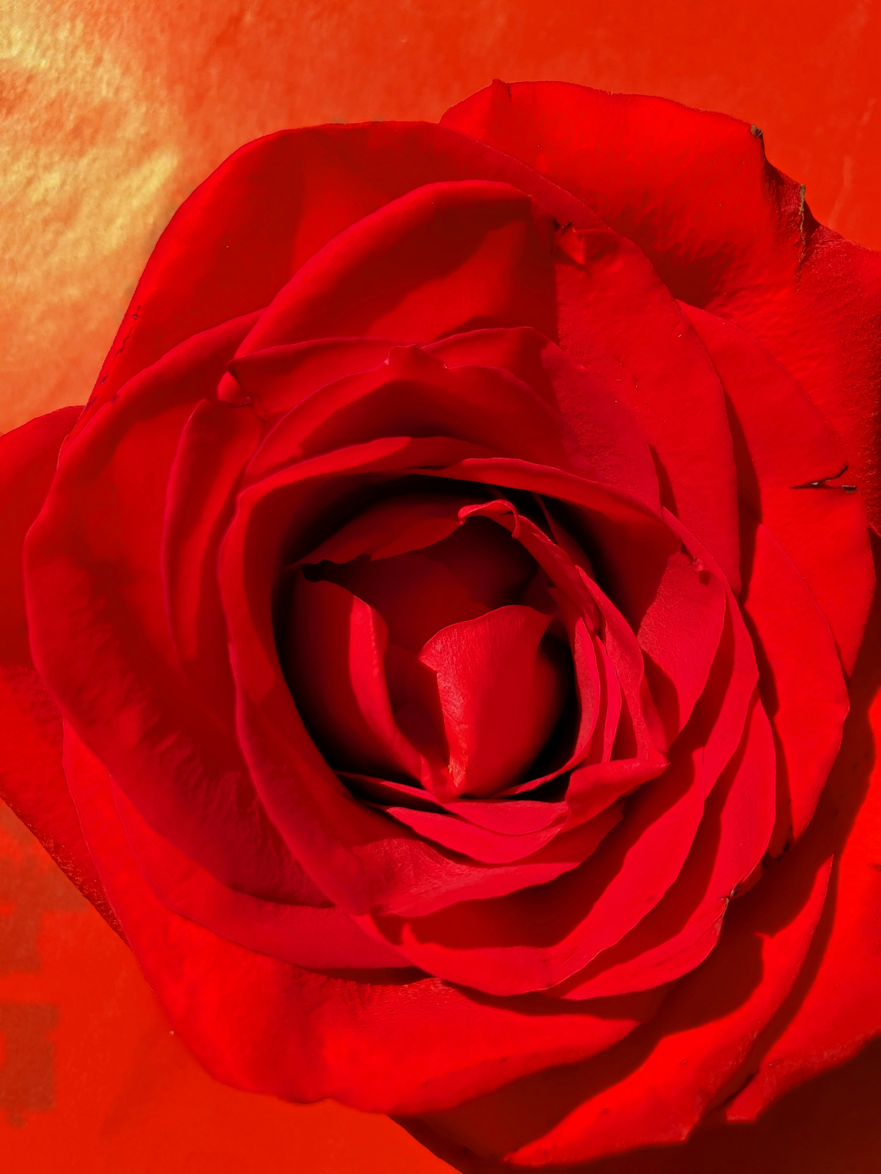 Photo by karolinabobek