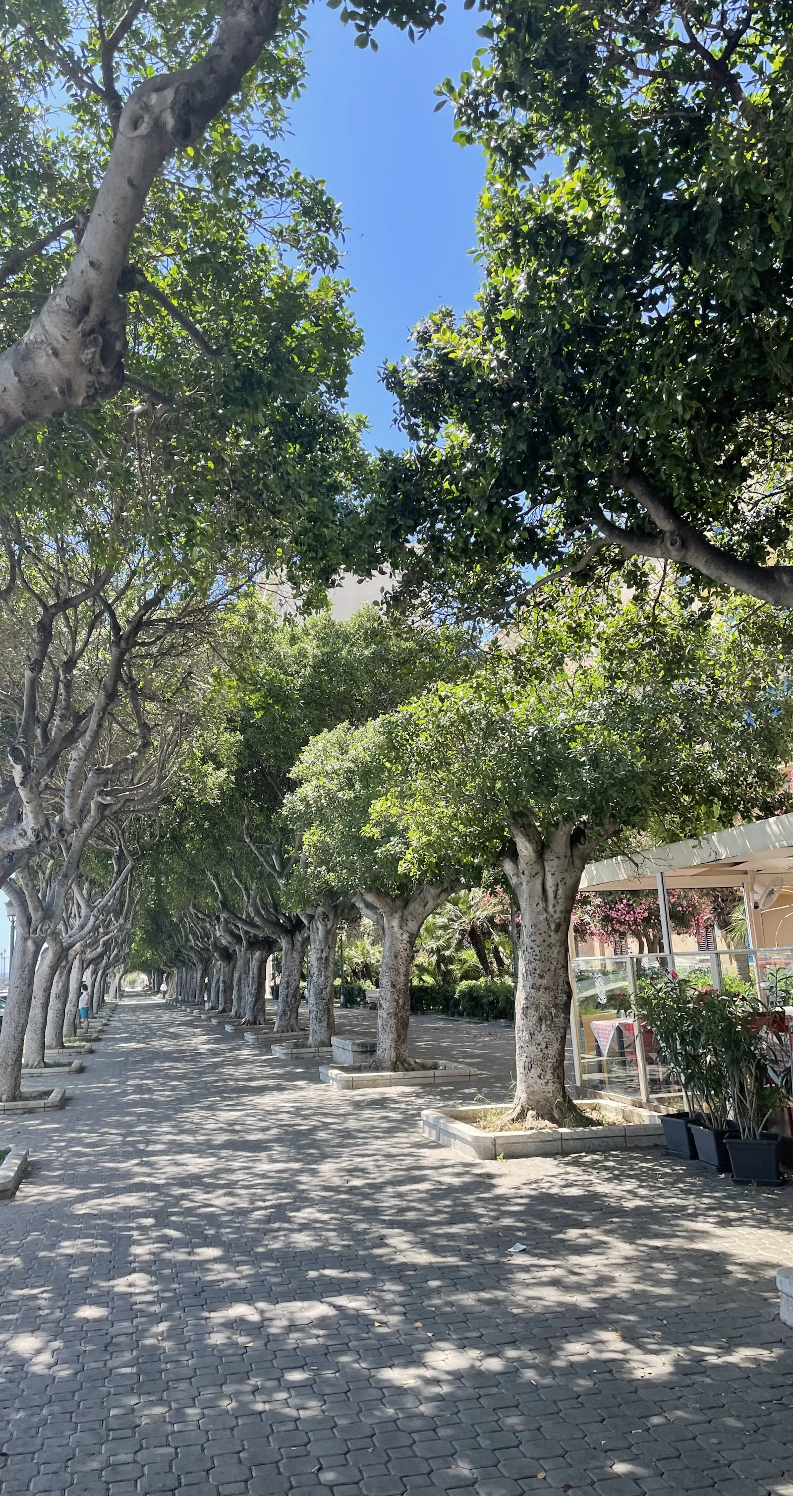 Representative image of the Hyde Park area — photo 4
