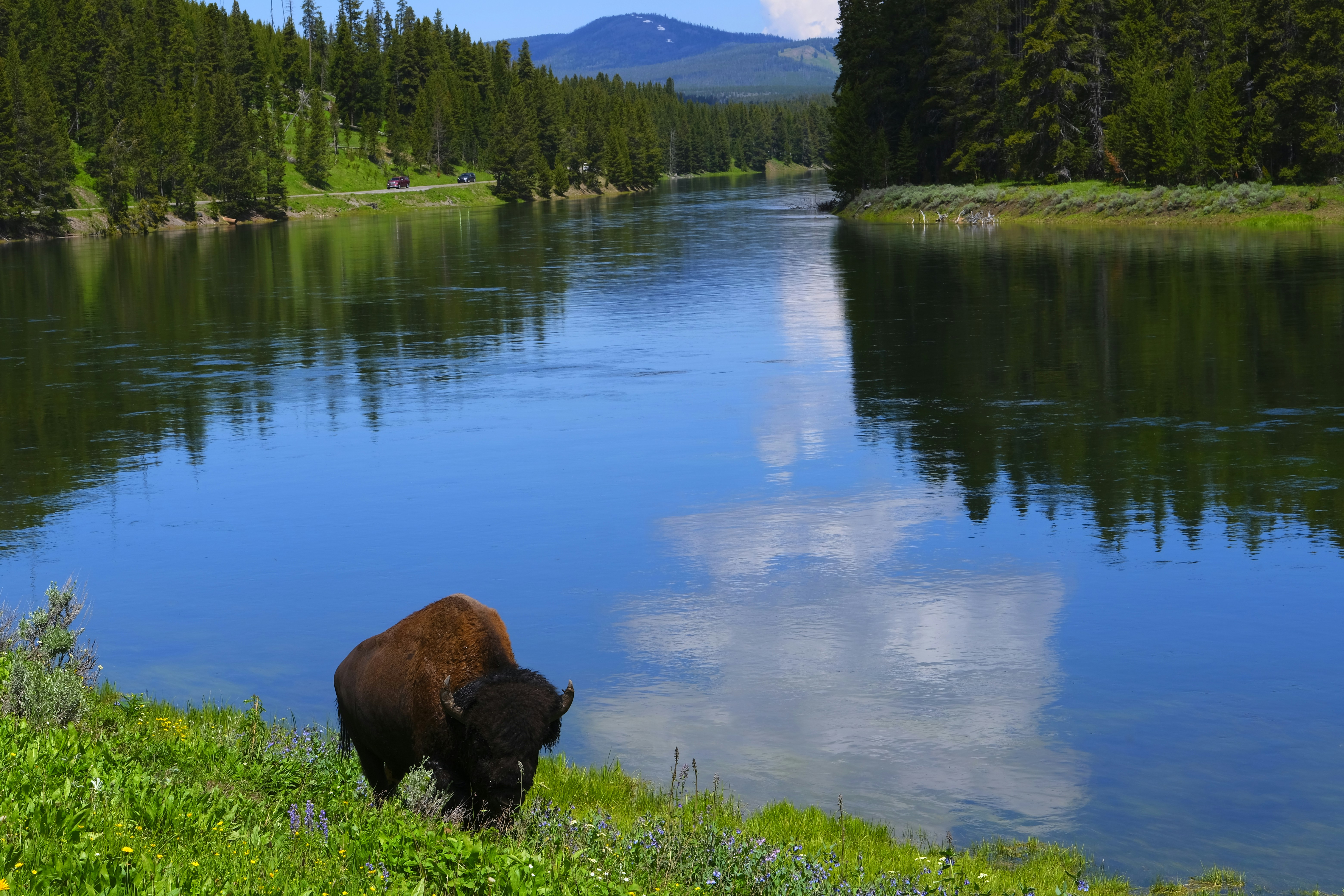 Photo by surajvenkat