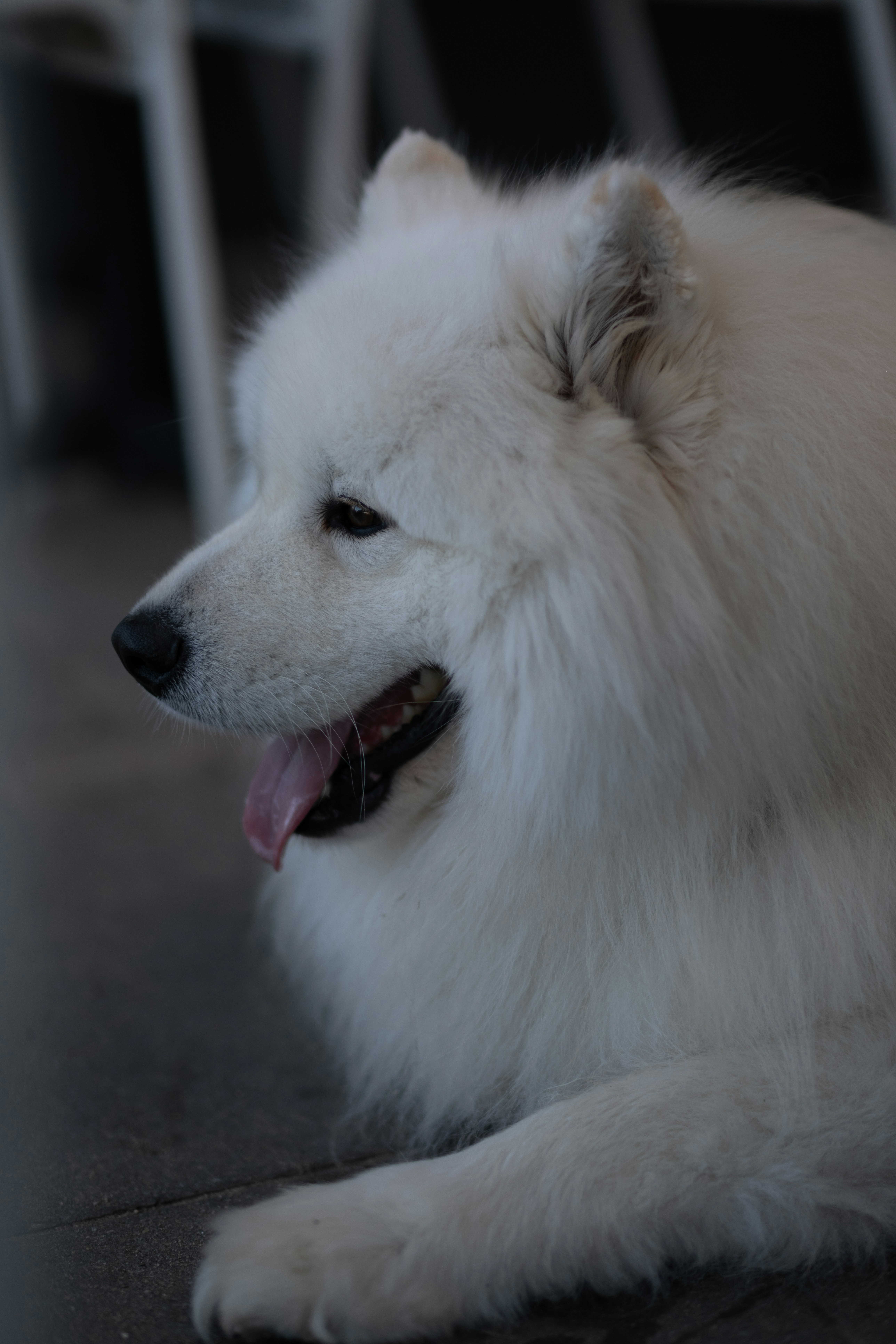 Photo by haberdoedas2