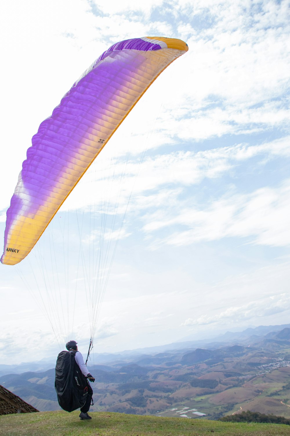 a man standing on top of a hill flying a purple kite