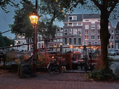 a street light sitting next to a tree in Amsterdam