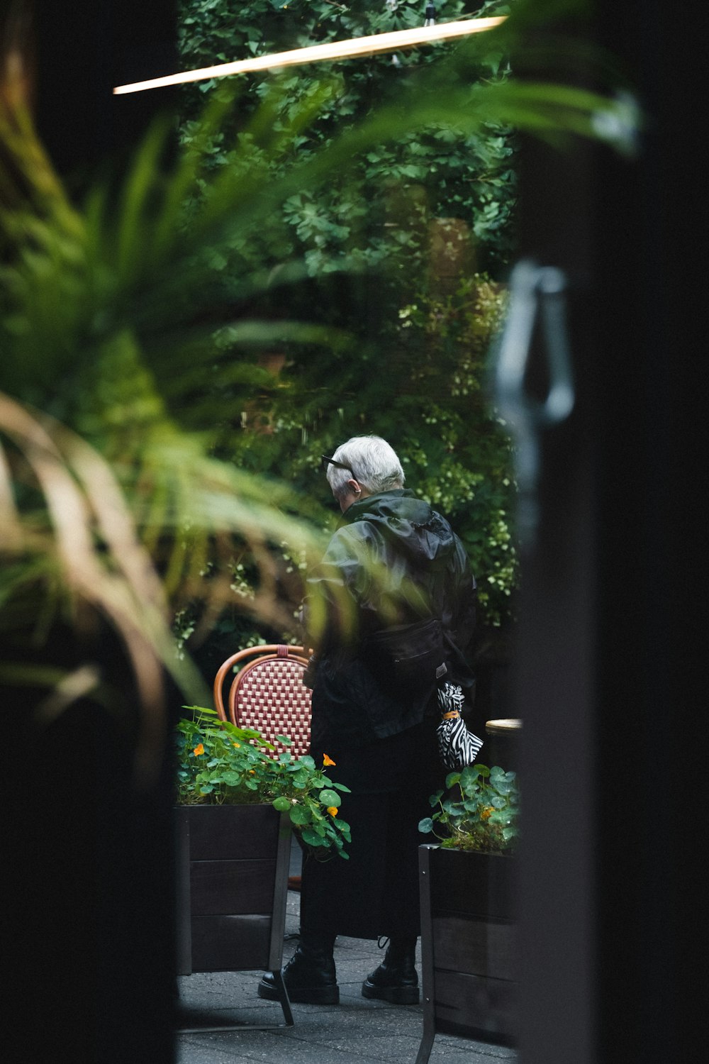 a man sitting in a chair next to a potted plant