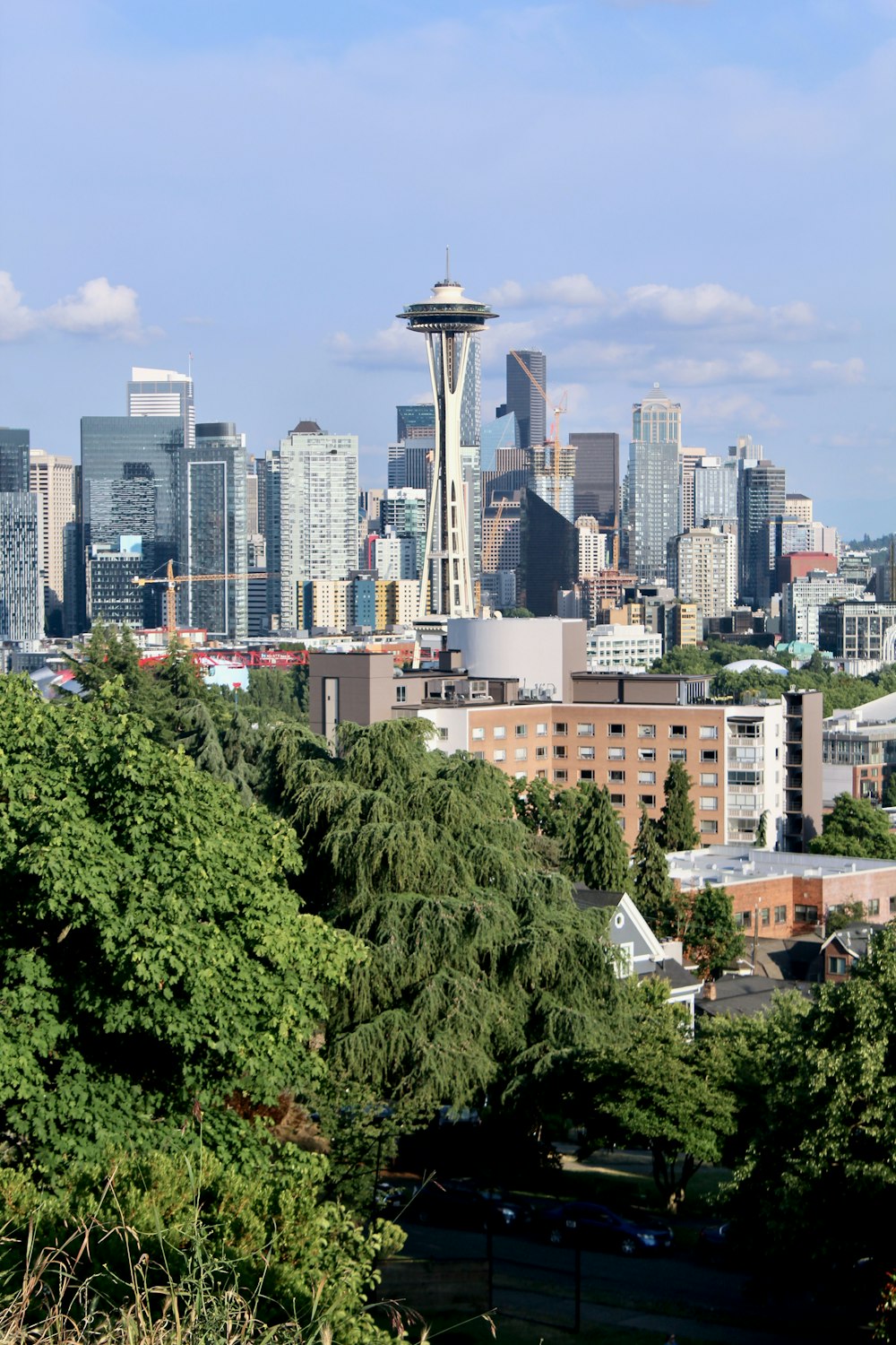 a view of the seattle skyline from the top of a hill