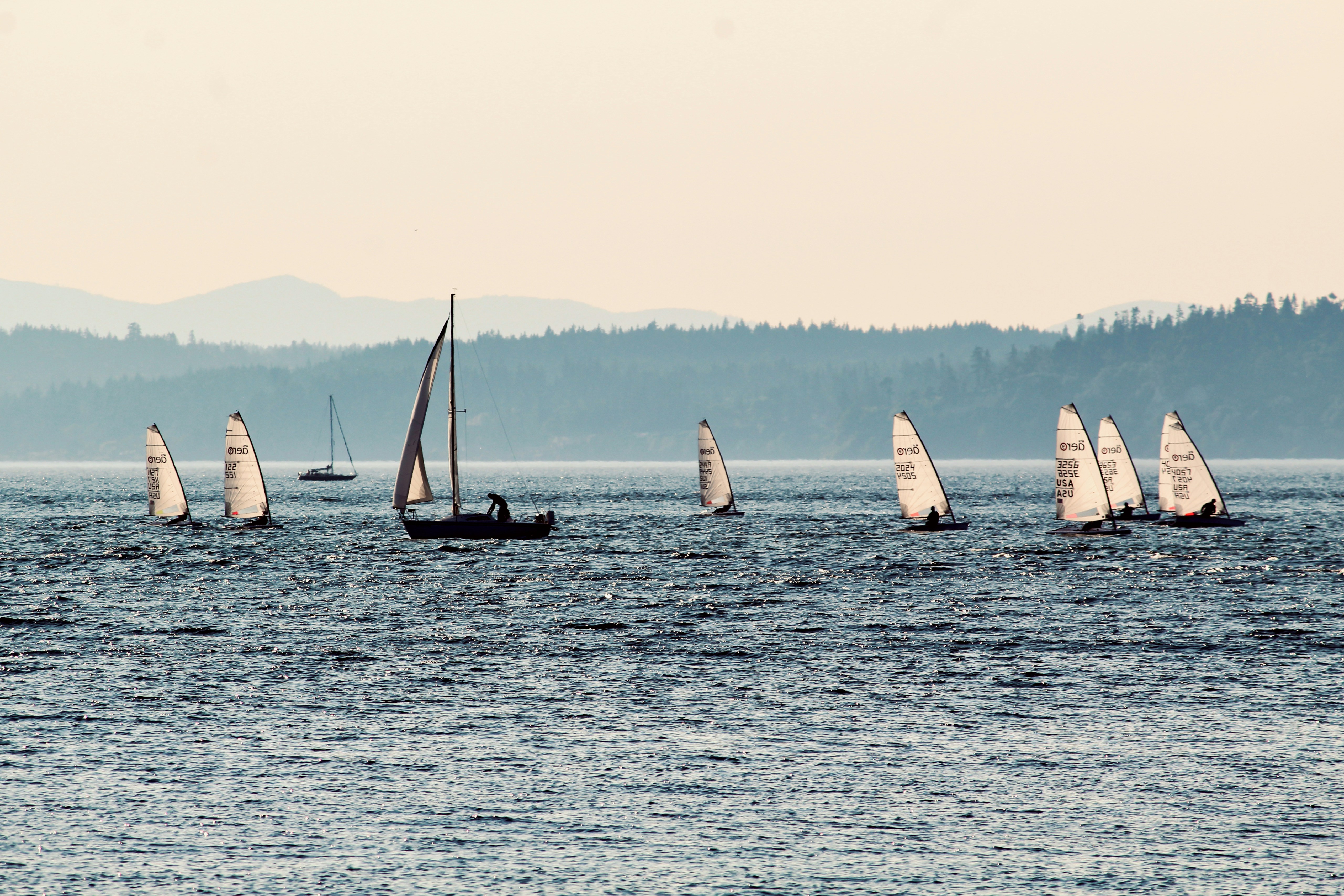 Photo by postcardwalashot