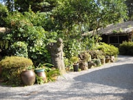 A serene garden setting featuring a pathway bordered by numerous potted plants and bushes. A stone statue of a figure carrying a sack on its back is prominently displayed among the greenery. In the background, a rustic thatched-roof structure is partially visible, surrounded by trees and dense foliage, adding to the tranquil atmosphere.
