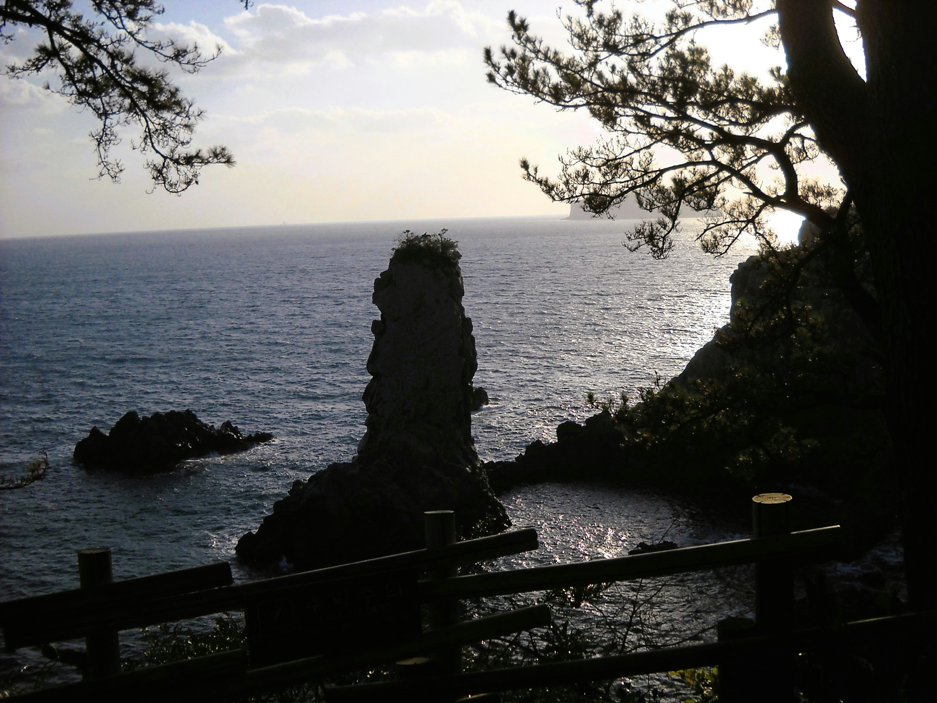 Elegant Coastal Canvas