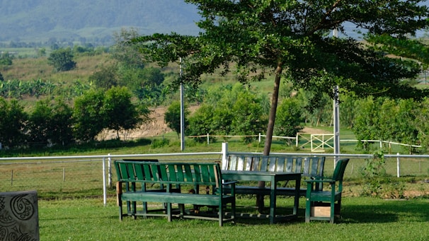 A peaceful outdoor scene where a small class is gathered under a tree for a lesson.