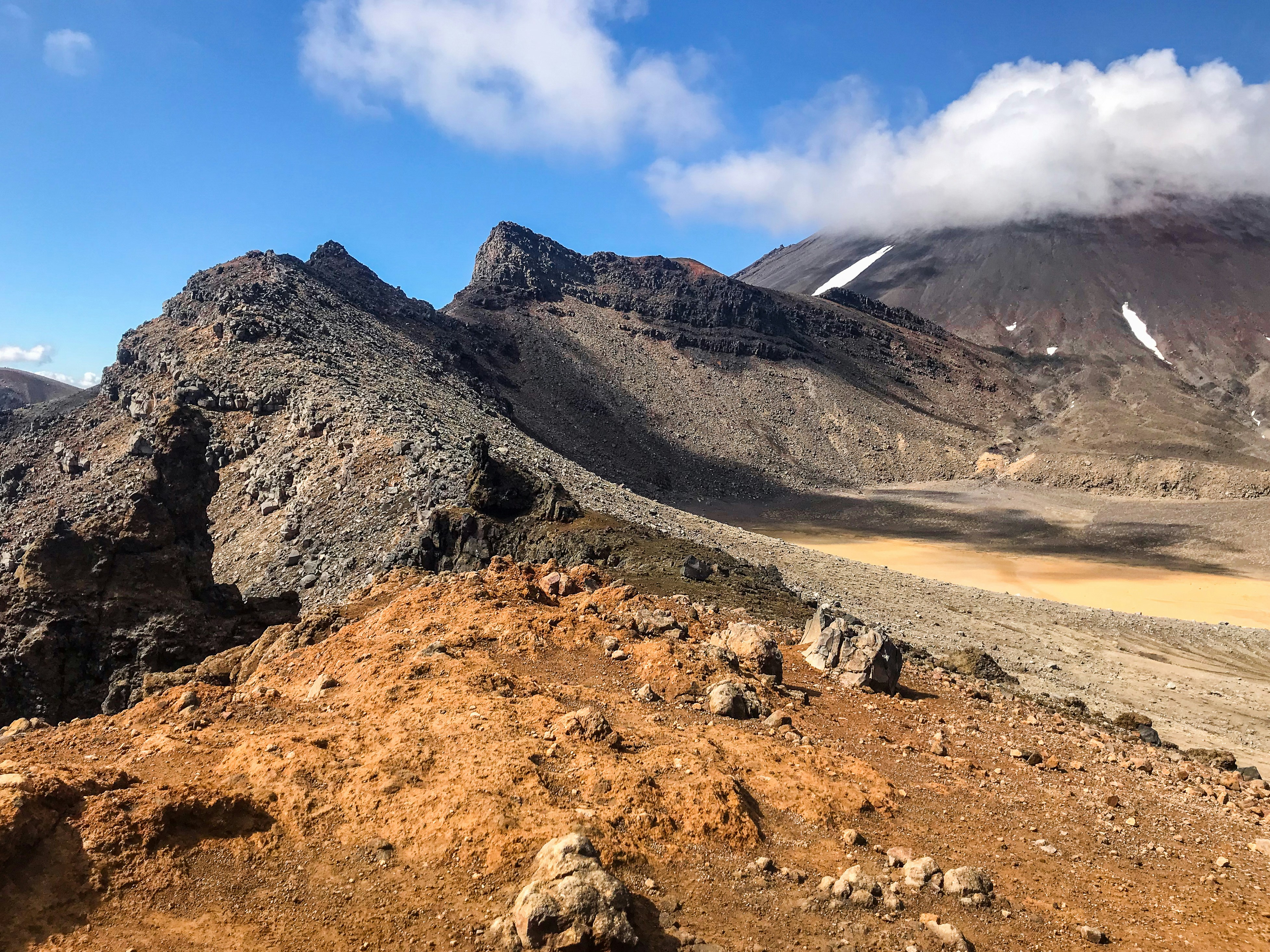 Photo by tyrannosara