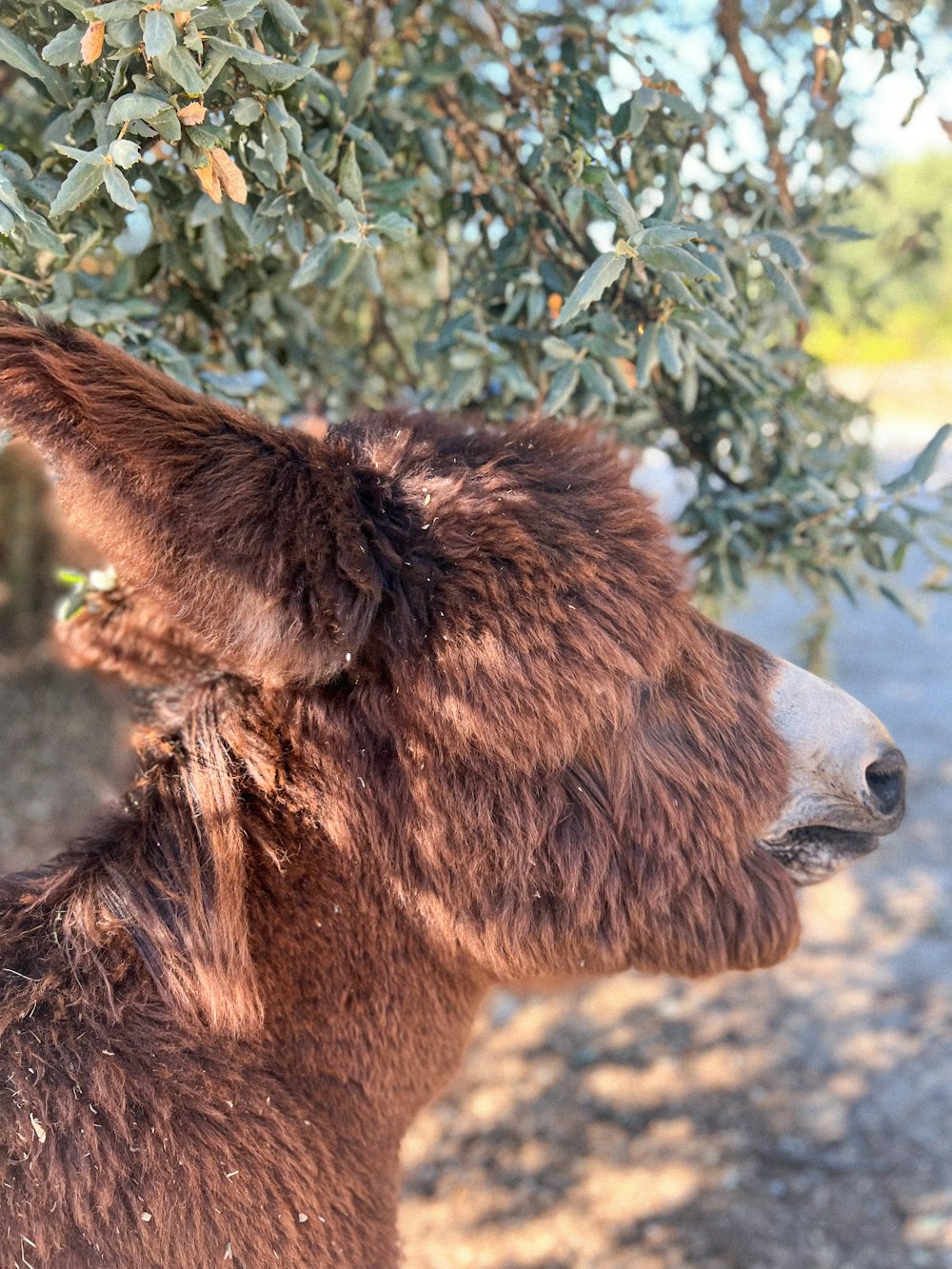 a small brown animal standing next to a tree