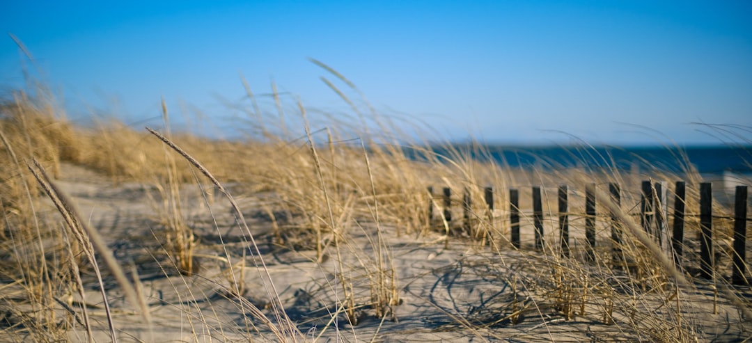 a sandy beach with a fence and grass, A New England beach in winter