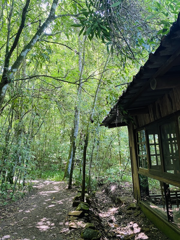 A quaint forest scene featuring a cozy wooden cabin with large windows. The surrounding area is lush with greenery, characterized by dense trees and a narrow dirt path leading into the woods. Sunlight filters through the leaves, casting dappled shadows on the ground.